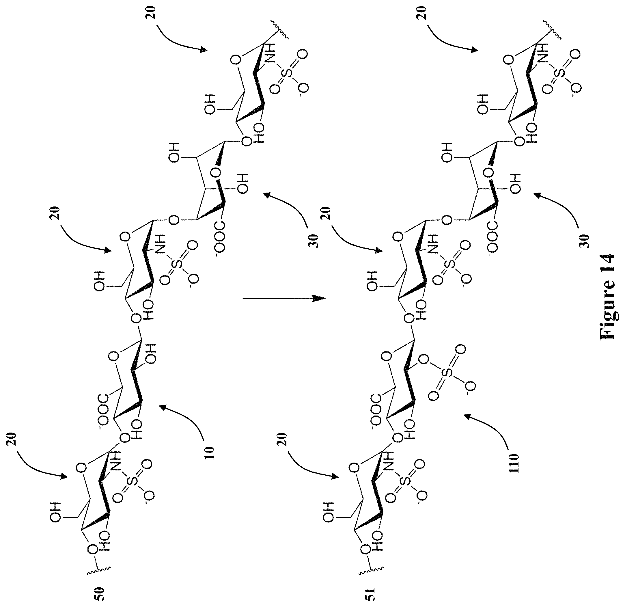 Patent US11773382 Figure 20 – Engineered aryl sulfate-dependent enzymes