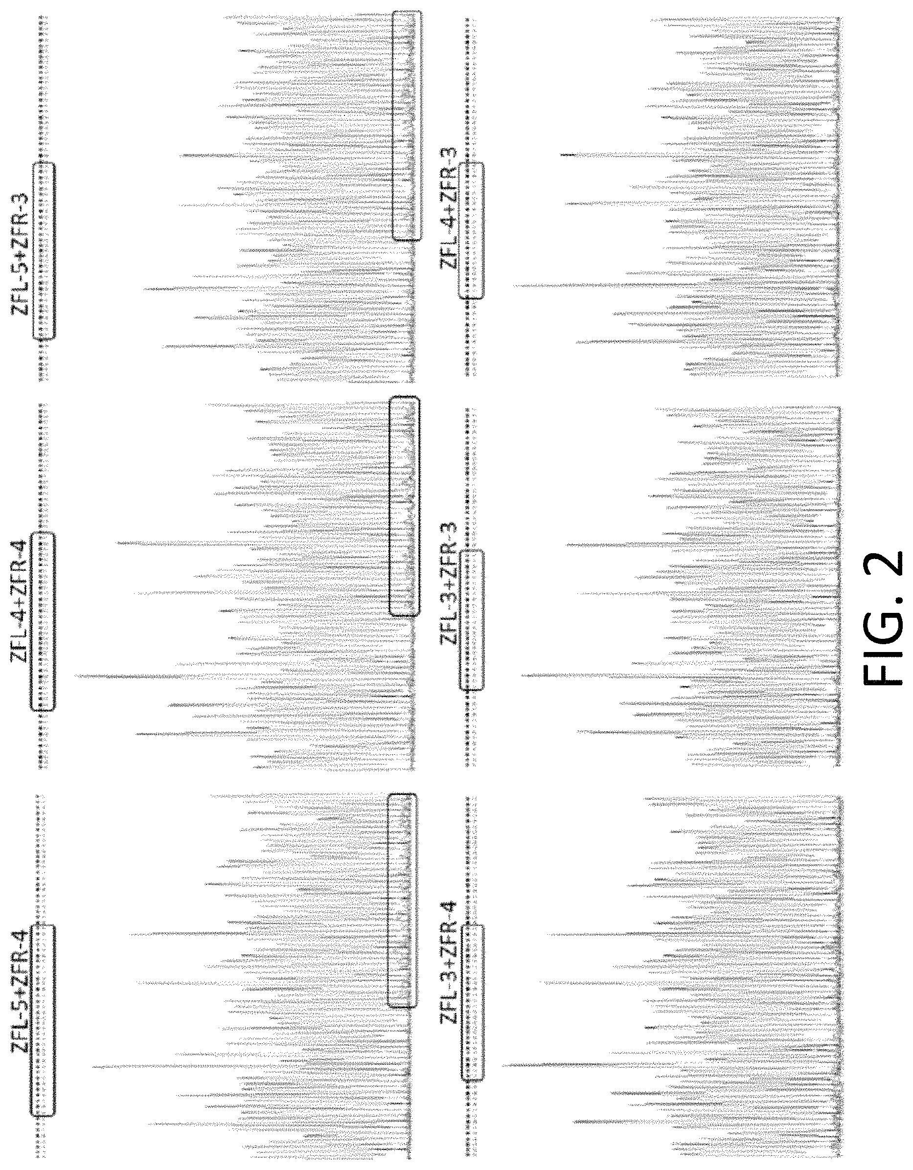 Patent US11773384 Figure 2 – Chimeric antigen receptor (CAR) and T cell receptor (TCR) modified T cells