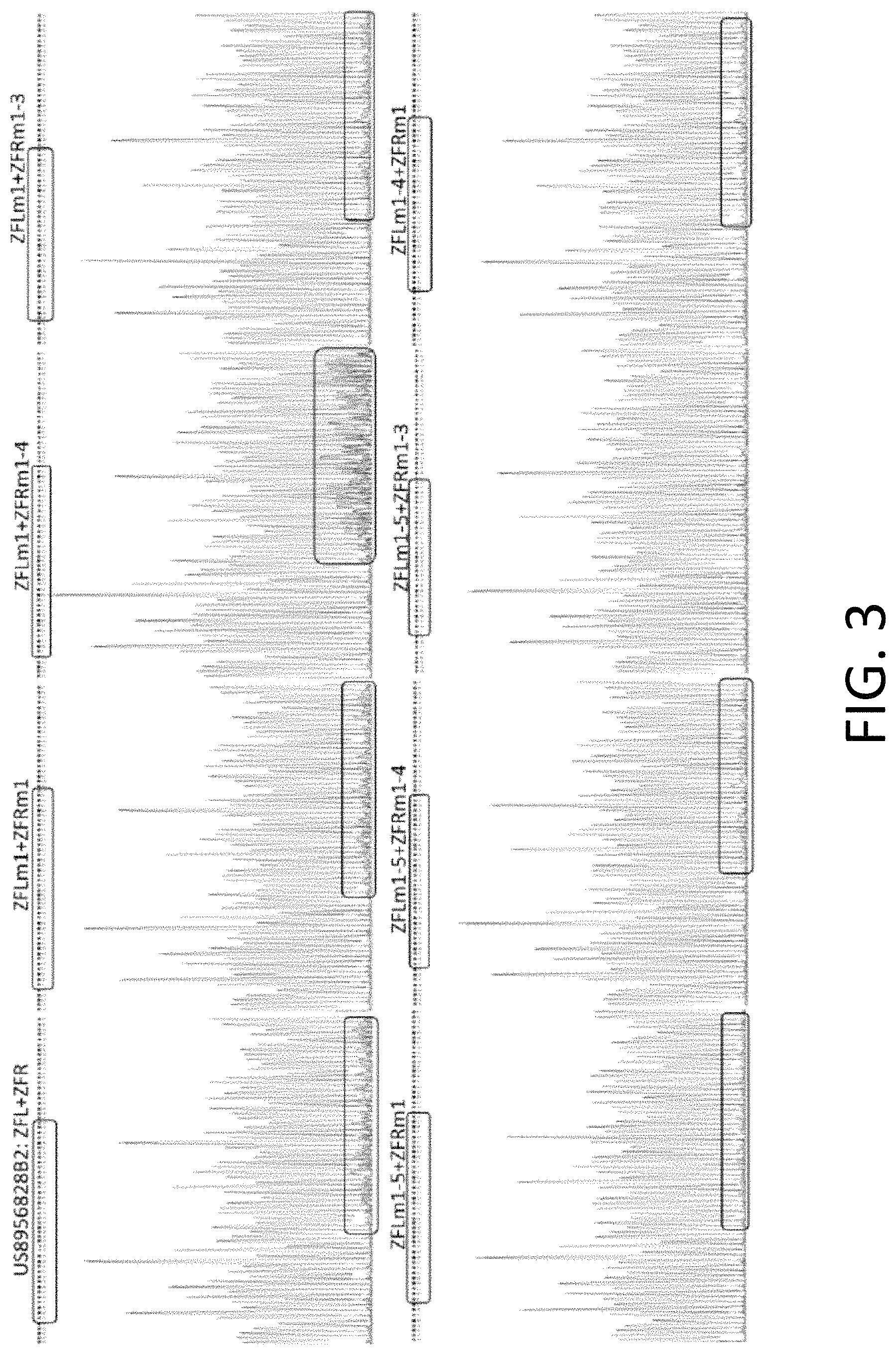 Patent US11773384 Figure 3 – Chimeric antigen receptor (CAR) and T cell receptor (TCR) modified T cells