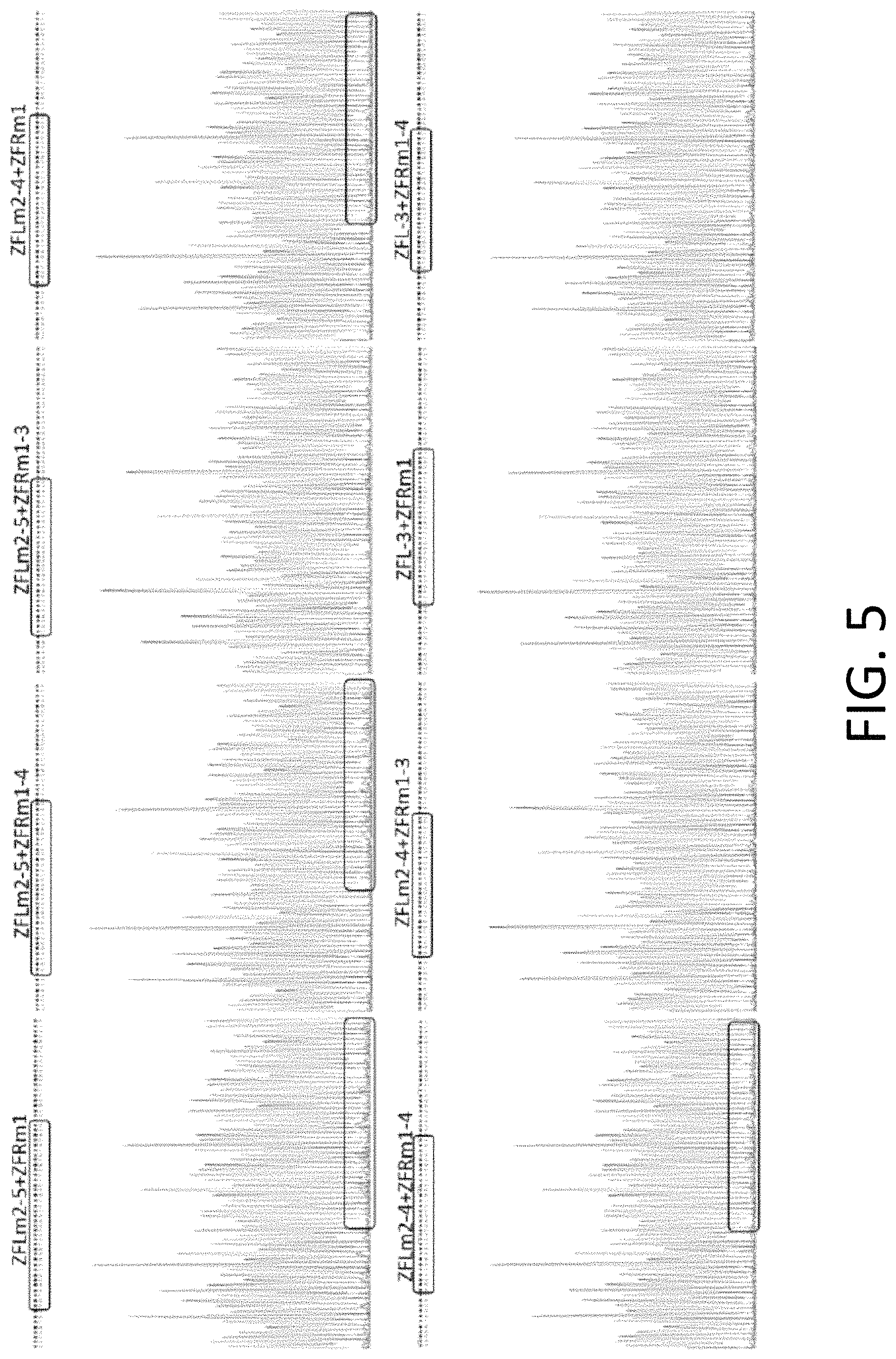 Patent US11773384 Figure 5 – Chimeric antigen receptor (CAR) and T cell receptor (TCR) modified T cells