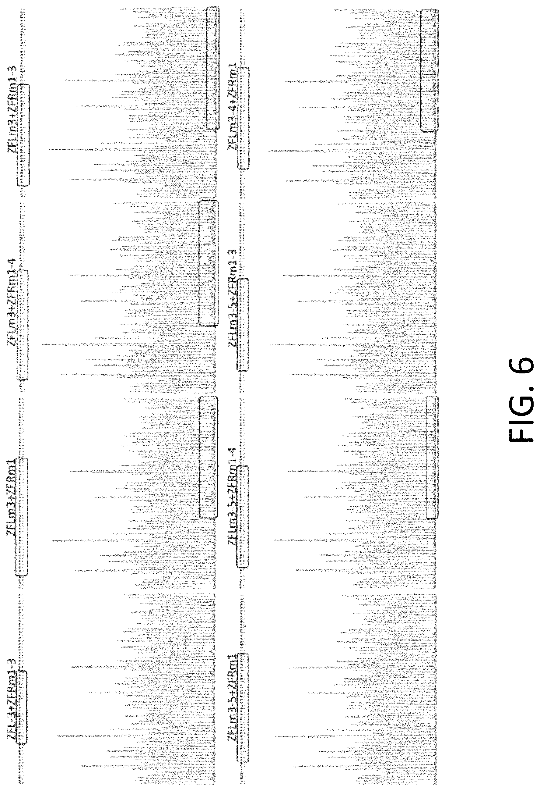 Patent US11773384 Figure 6 – Chimeric antigen receptor (CAR) and T cell receptor (TCR) modified T cells