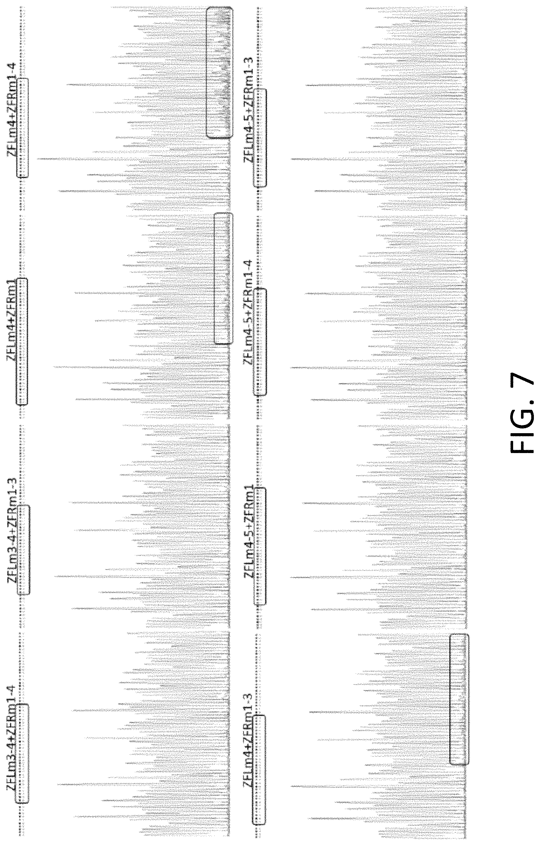 Patent US11773384 Figure 7 – Chimeric antigen receptor (CAR) and T cell receptor (TCR) modified T cells