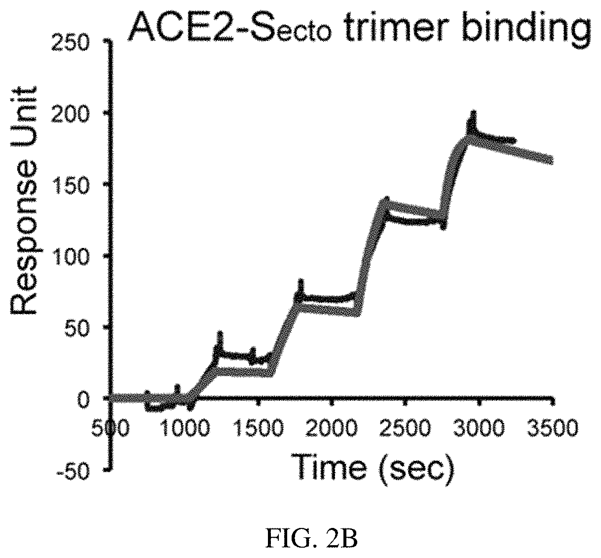 Patent US11773385 Figure 4 – High-affinity human ACE2 construct for use in diagnosing and treating coronaviruses