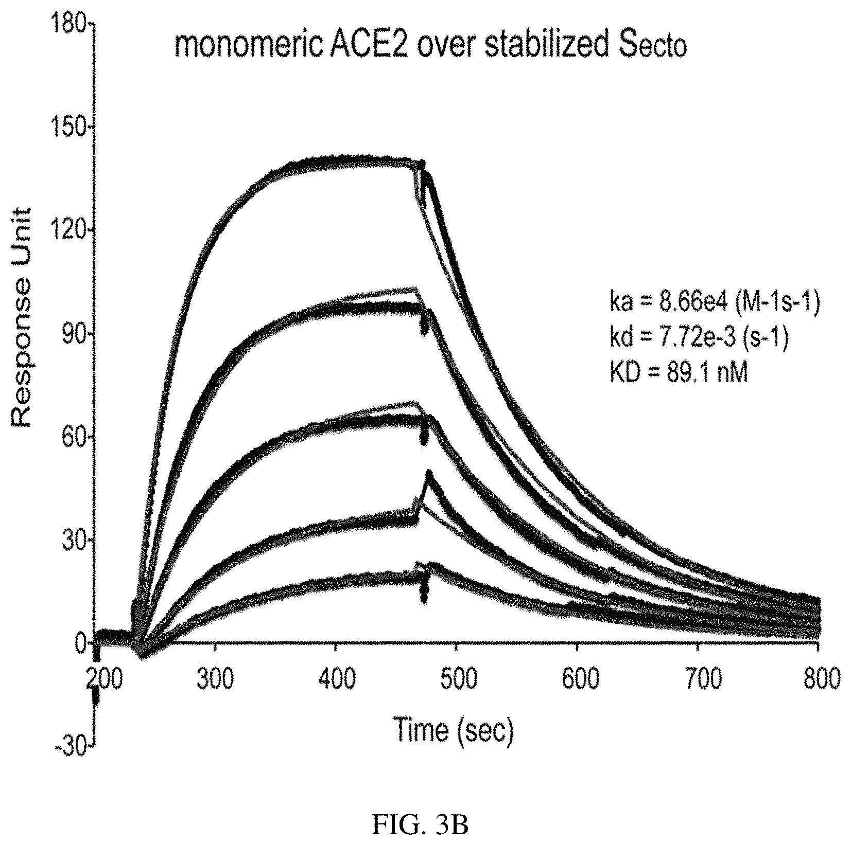 Patent US11773385 Figure 7 – High-affinity human ACE2 construct for use in diagnosing and treating coronaviruses