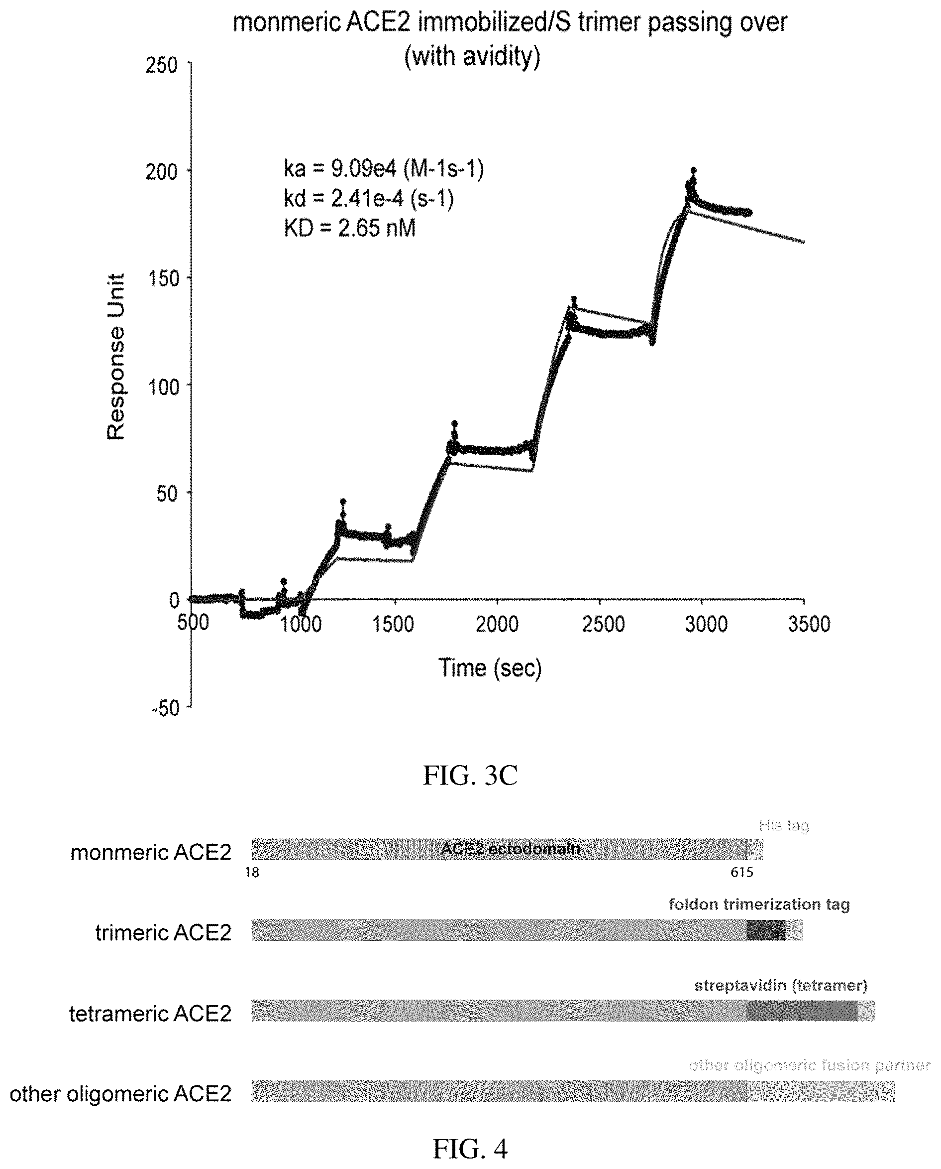 Patent US11773385 Figure 8 – High-affinity human ACE2 construct for use in diagnosing and treating coronaviruses