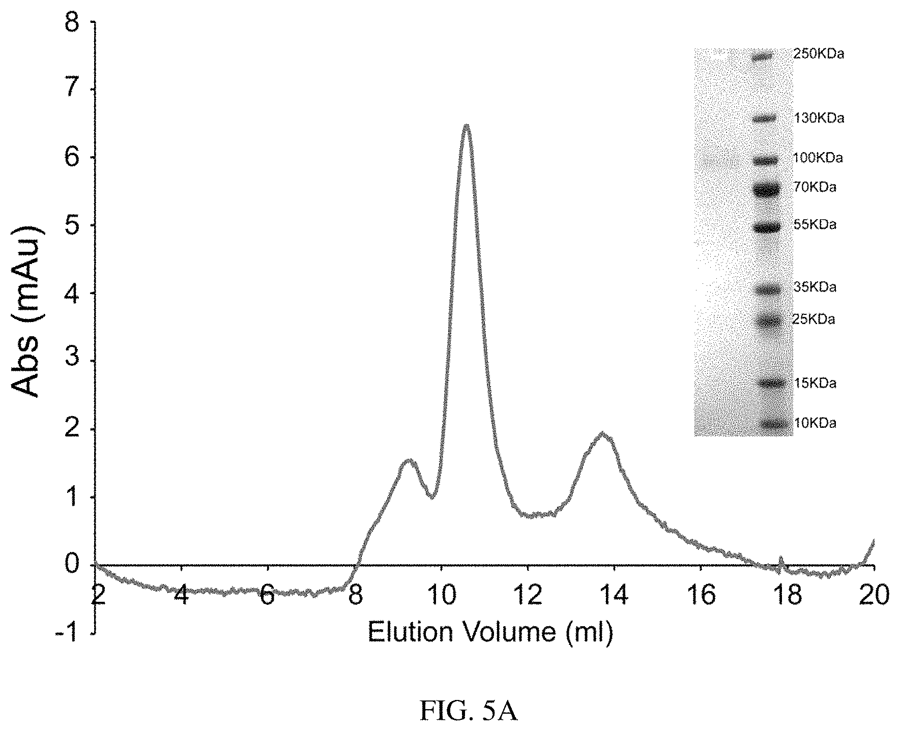 Patent US11773385 Figure 9 – High-affinity human ACE2 construct for use in diagnosing and treating coronaviruses
