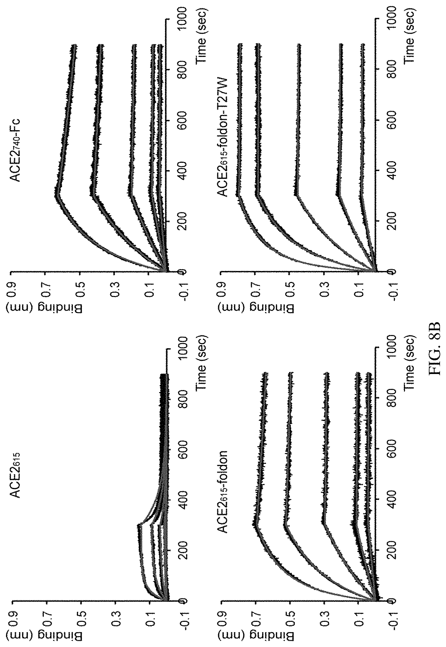 Patent US11773385 Figure 14 – High-affinity human ACE2 construct for use in diagnosing and treating coronaviruses