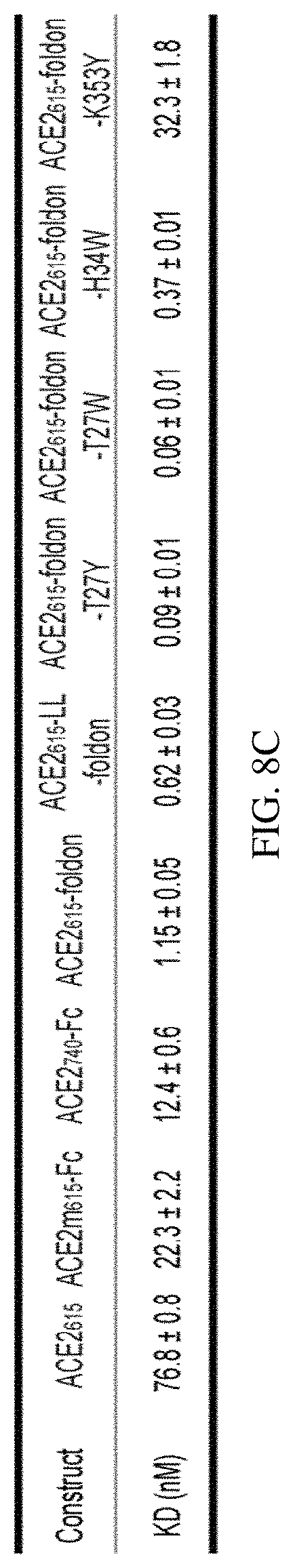 Patent US11773385 Figure 15 – High-affinity human ACE2 construct for use in diagnosing and treating coronaviruses