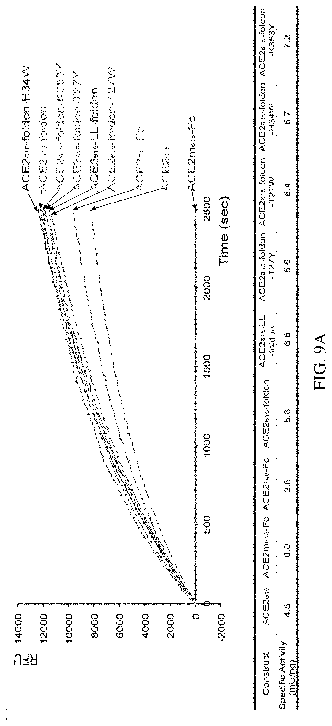 Patent US11773385 Figure 16 – High-affinity human ACE2 construct for use in diagnosing and treating coronaviruses