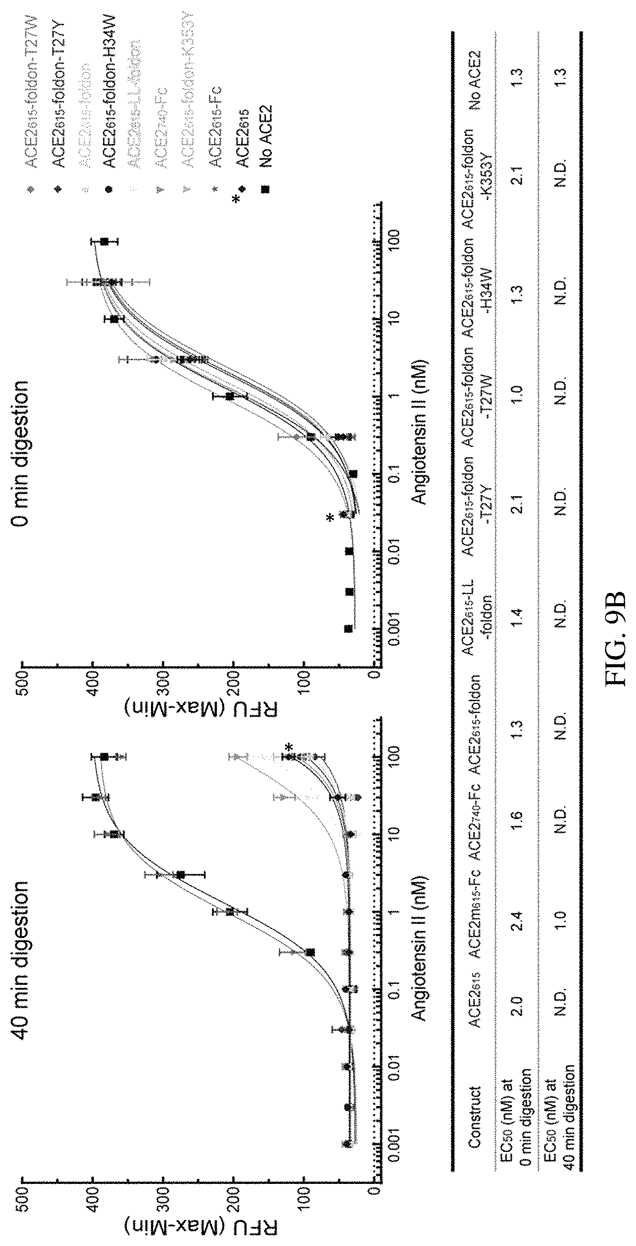 Patent US11773385 Figure 17 – High-affinity human ACE2 construct for use in diagnosing and treating coronaviruses