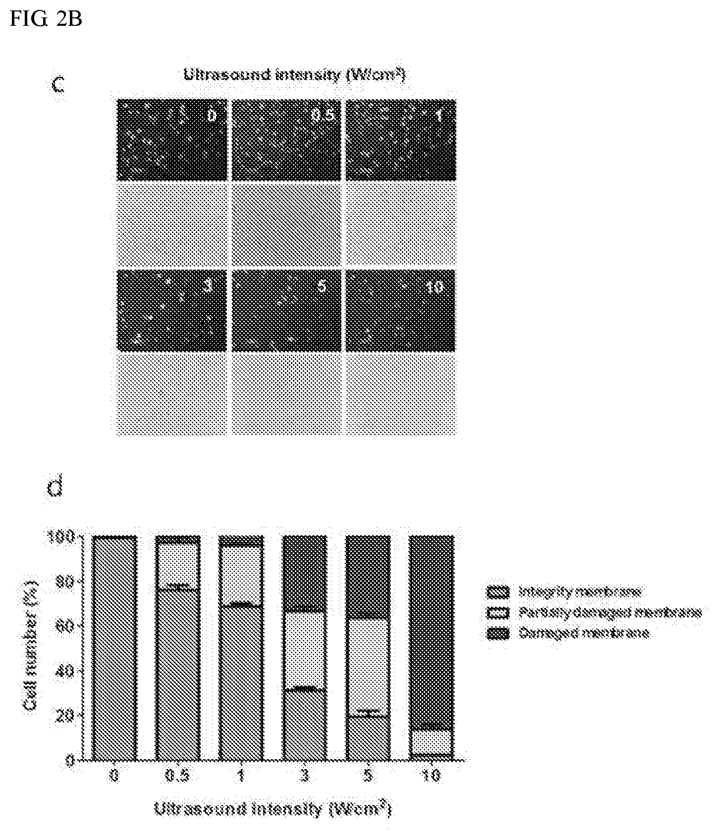 Patent US11773387 Figure 3 – Device and method for inducing pluripotent cells using energy