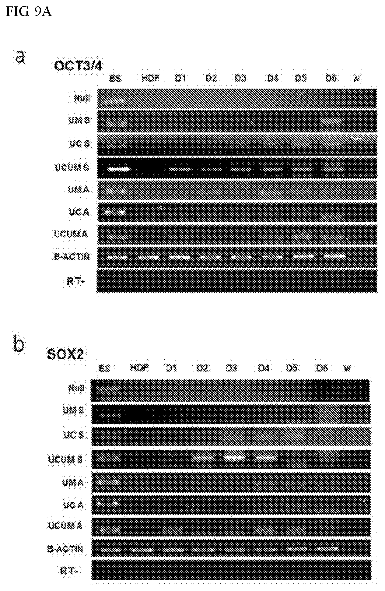 Patent US11773387 Figure 13 – Device and method for inducing pluripotent cells using energy