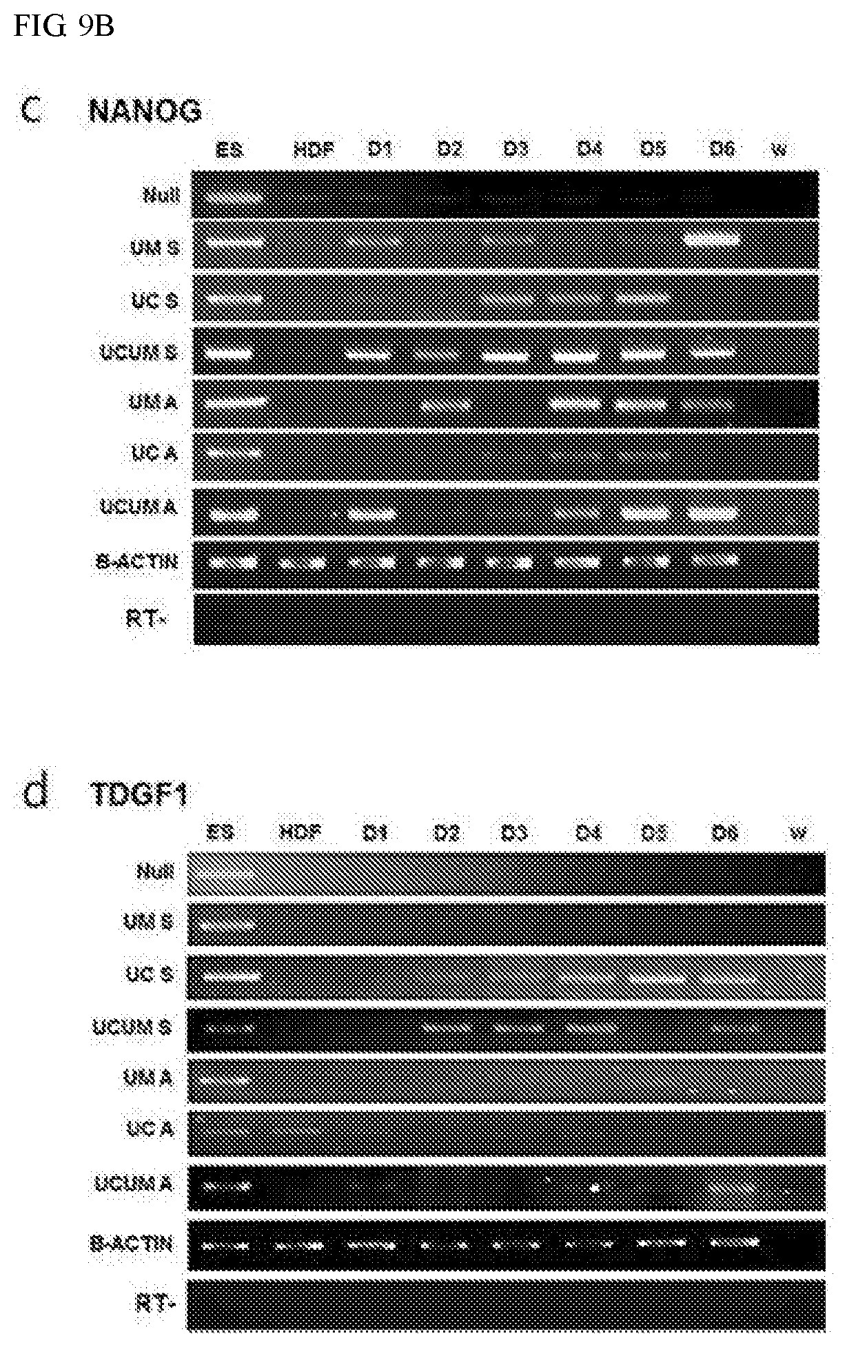 Patent US11773387 Figure 14 – Device and method for inducing pluripotent cells using energy