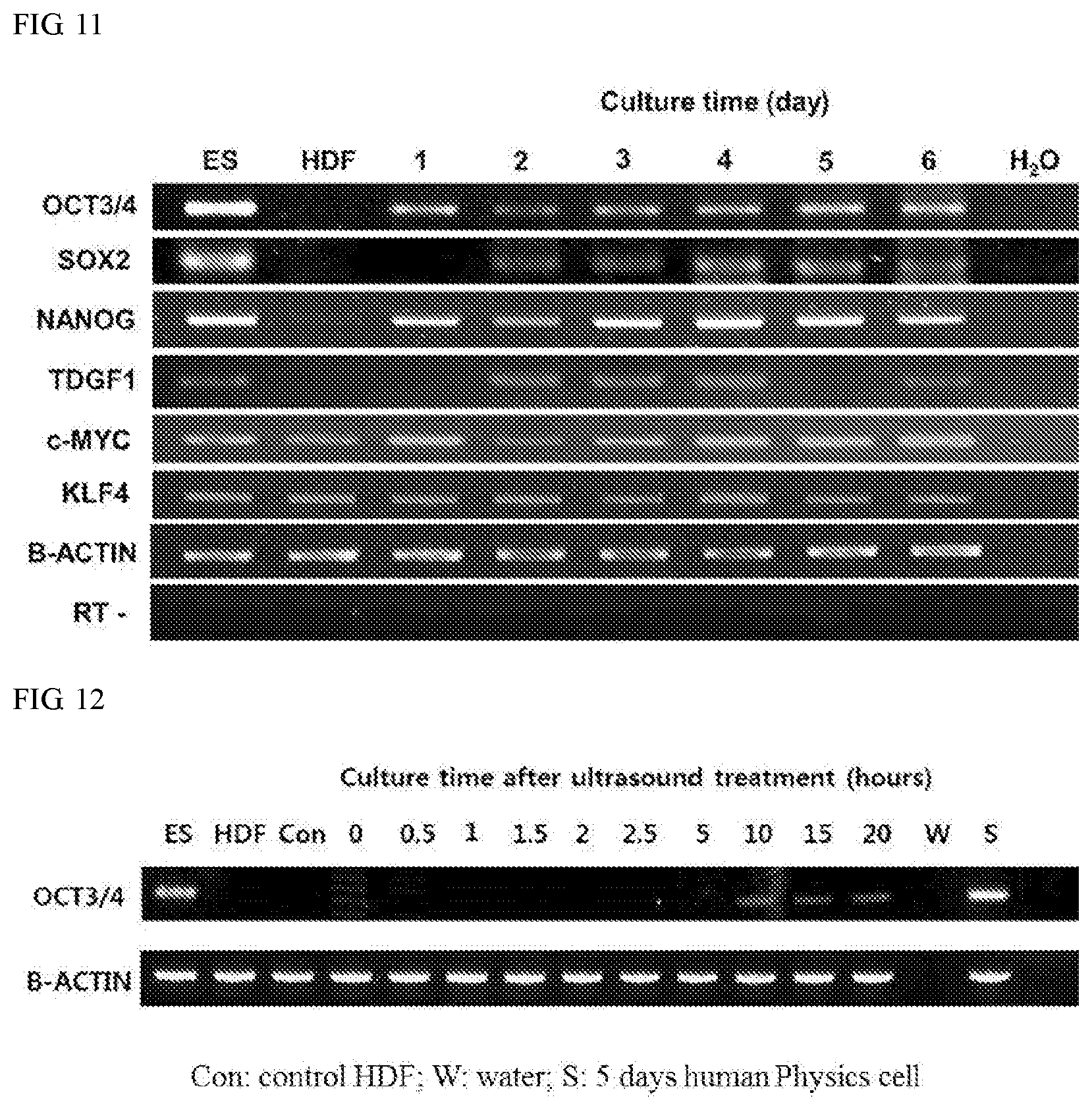 Patent US11773387 Figure 17 – Device and method for inducing pluripotent cells using energy