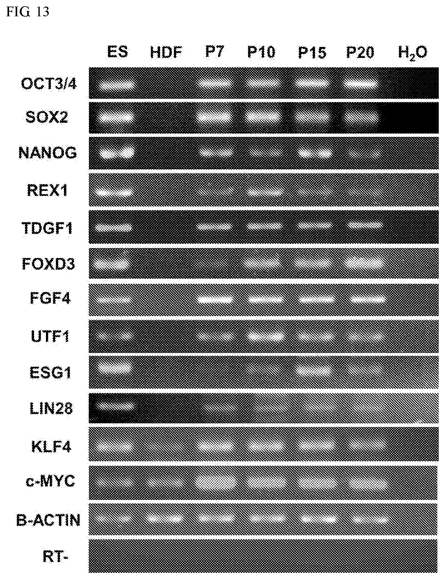 Patent US11773387 Figure 18 – Device and method for inducing pluripotent cells using energy