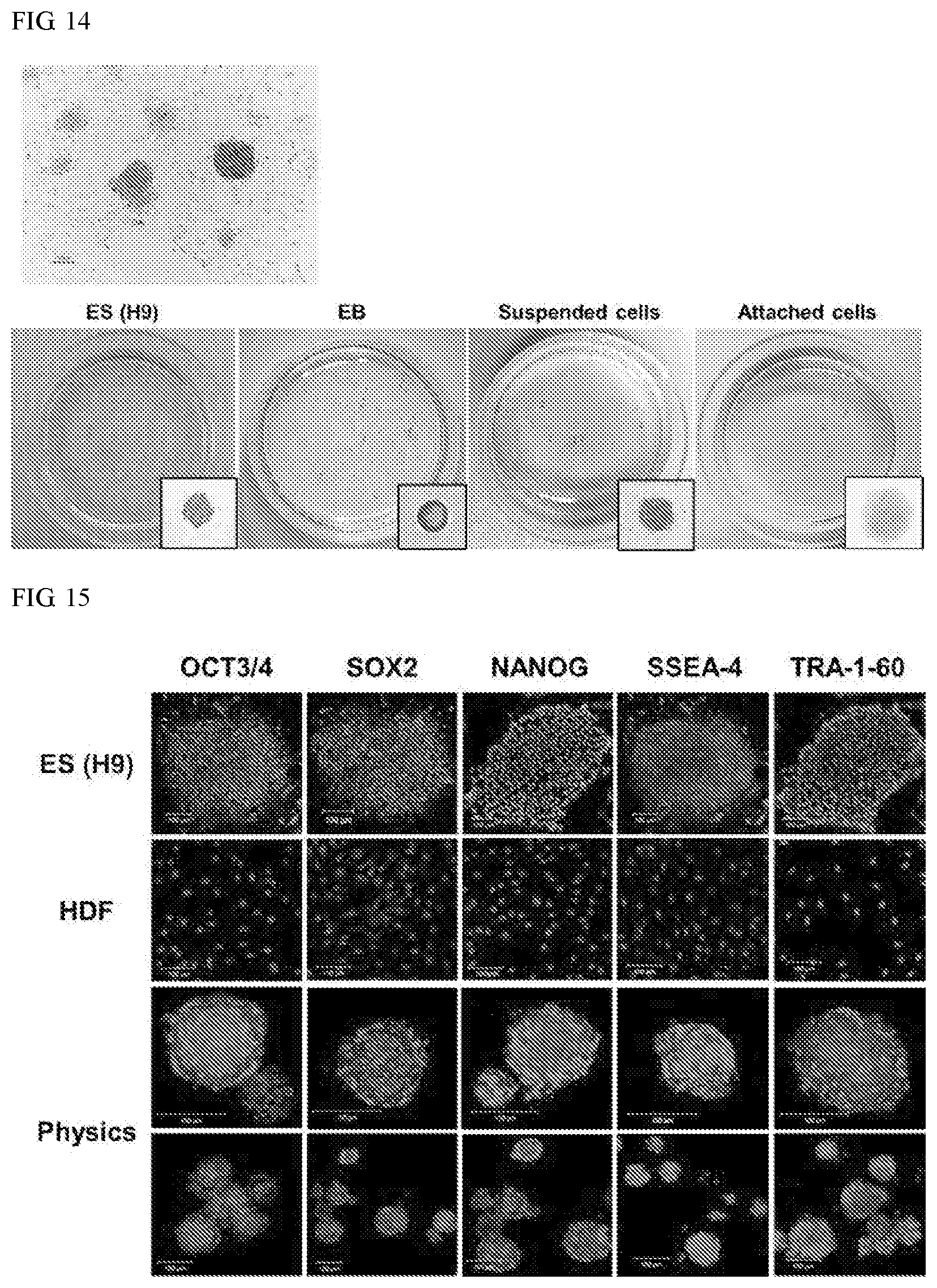 Patent US11773387 Figure 19 – Device and method for inducing pluripotent cells using energy