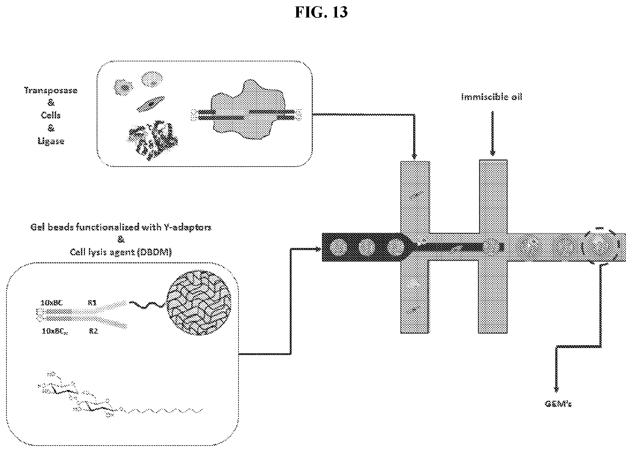 Patent US11773389 Figure 15 – Single cell analysis of transposase accessible chromatin