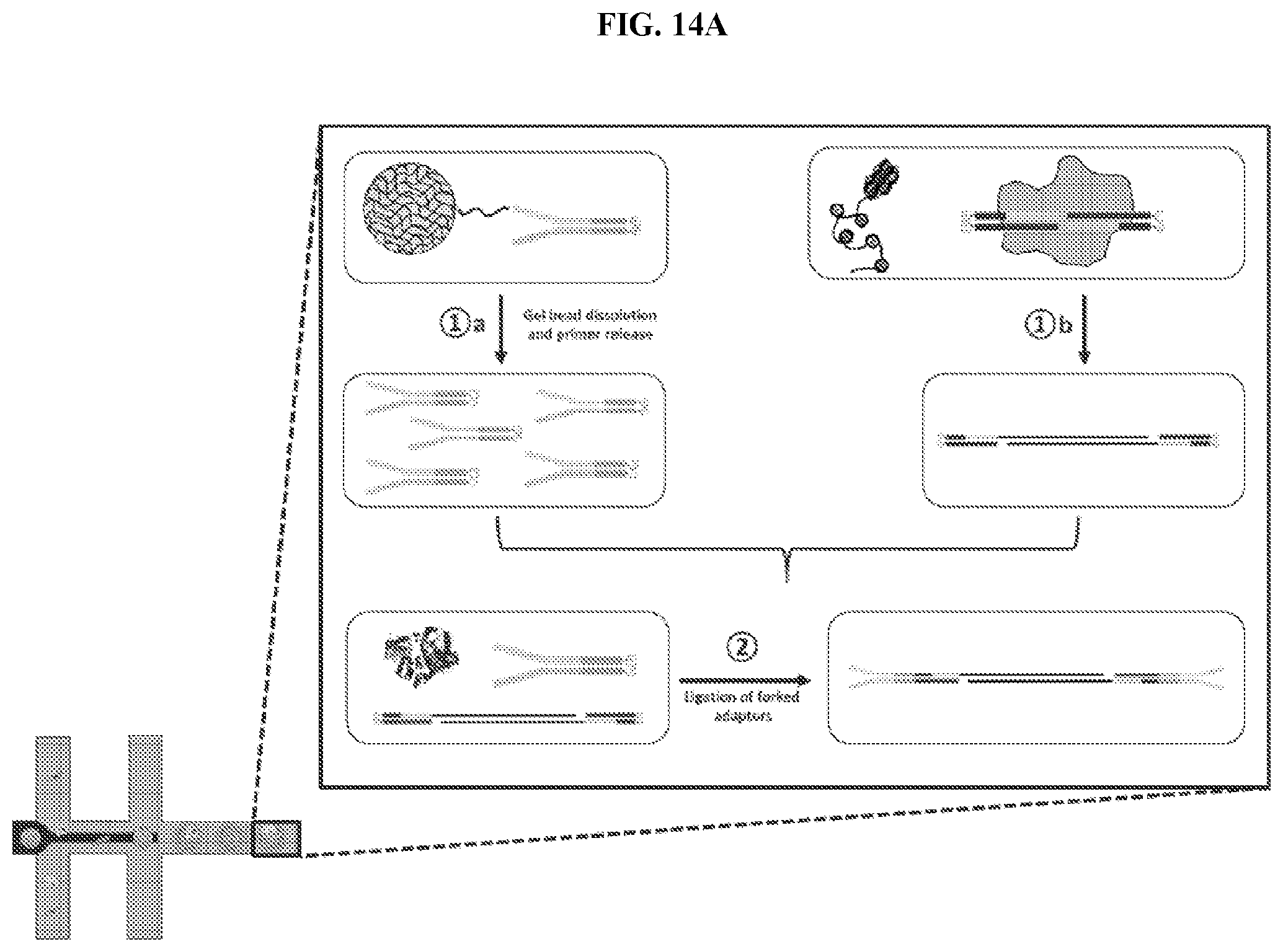 Patent US11773389 Figure 16 – Single cell analysis of transposase accessible chromatin