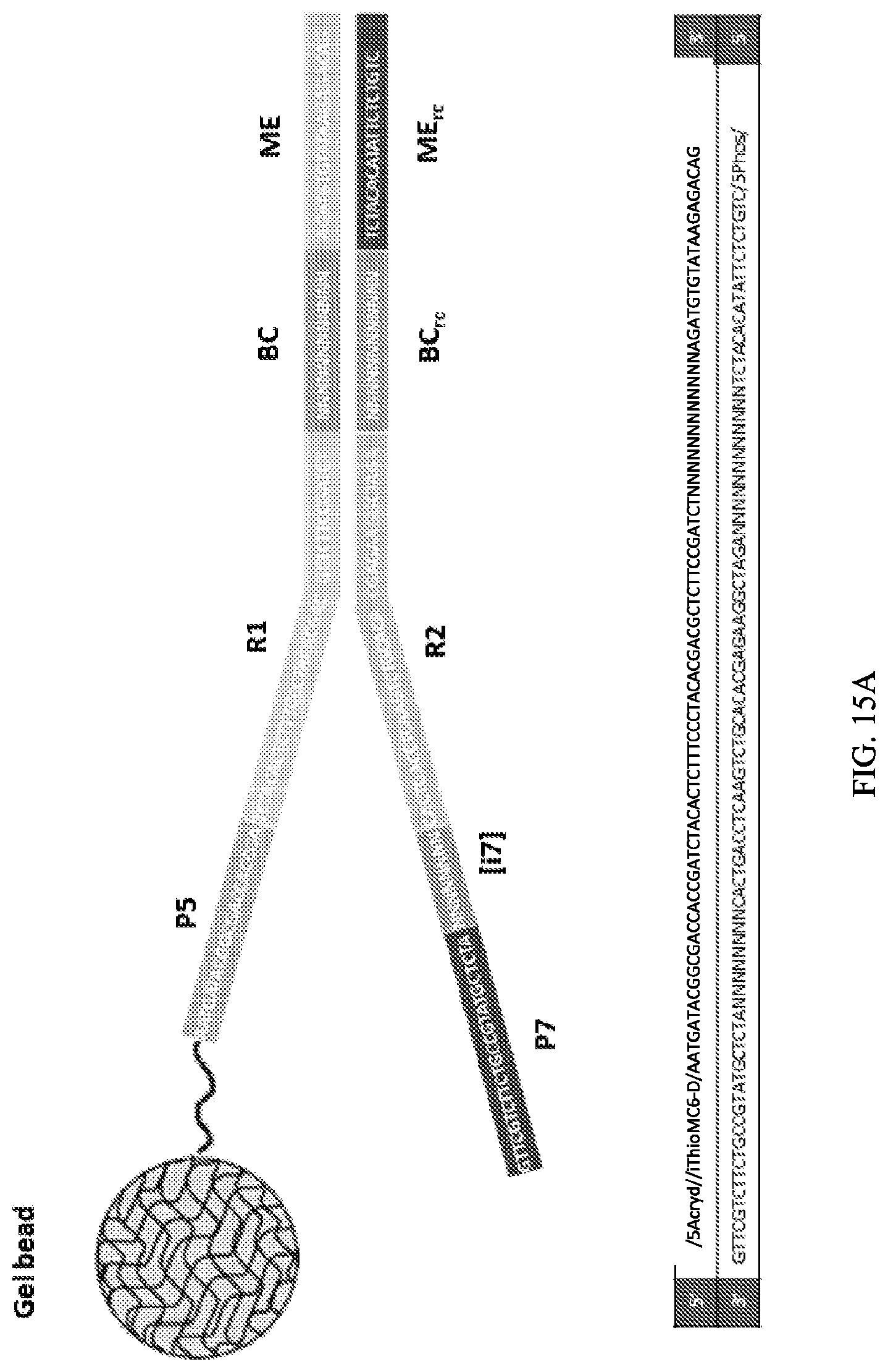 Patent US11773389 Figure 18 – Single cell analysis of transposase accessible chromatin