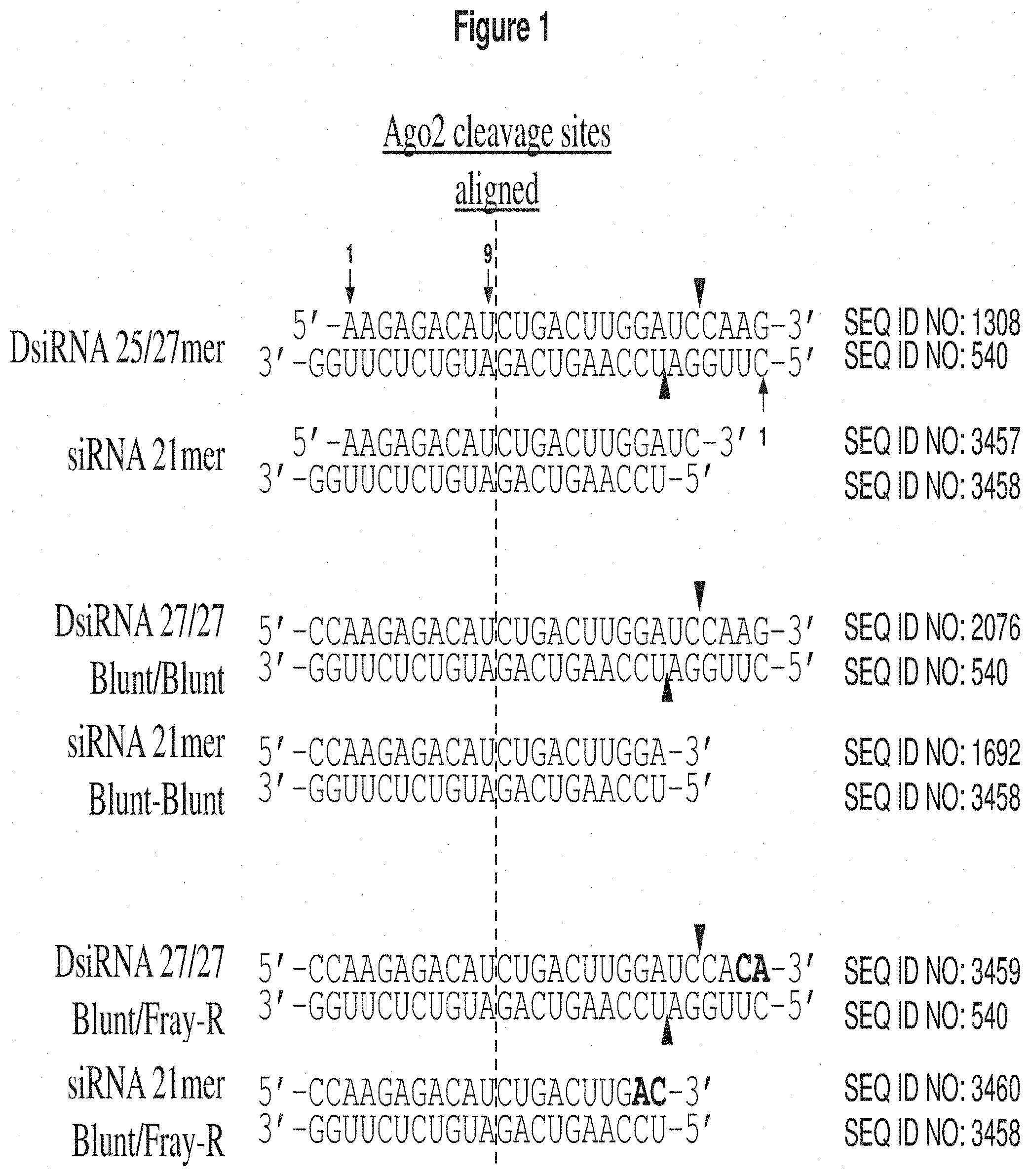 Patent US11773390 Figure 1 – Methods and compositions for the specific inhibition of Complement Component 5(C5) by double-stranded RNA