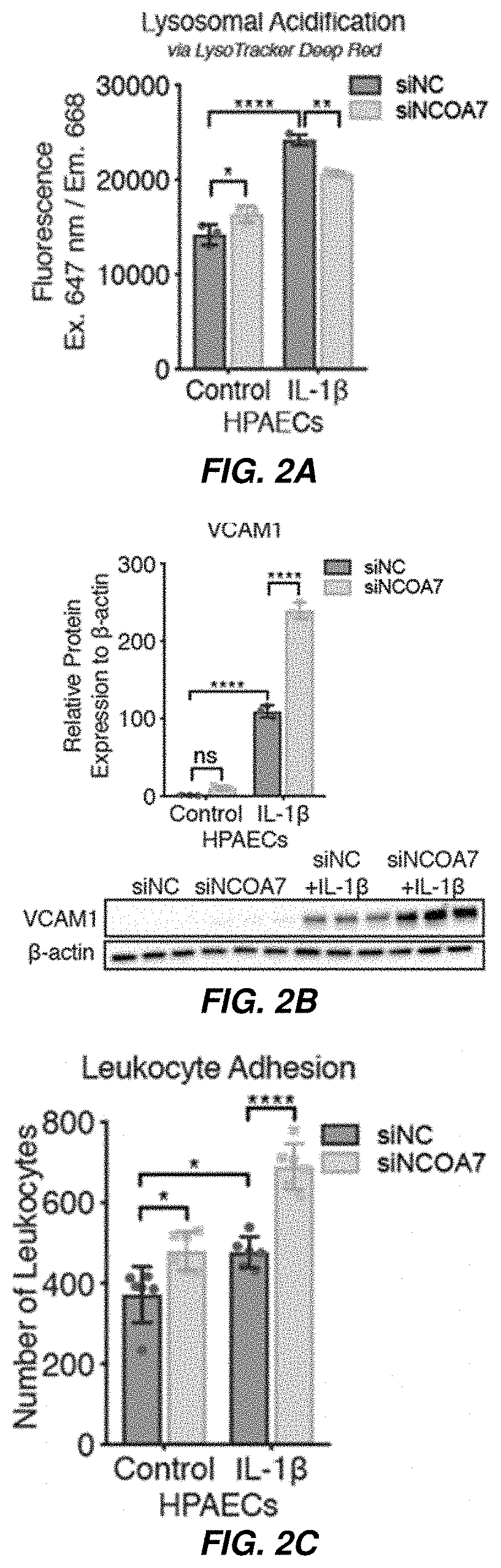Patent US11773391 Figure 2 – Therapeutic and diagnostic target for SARS-CoV-2 and COVID-19