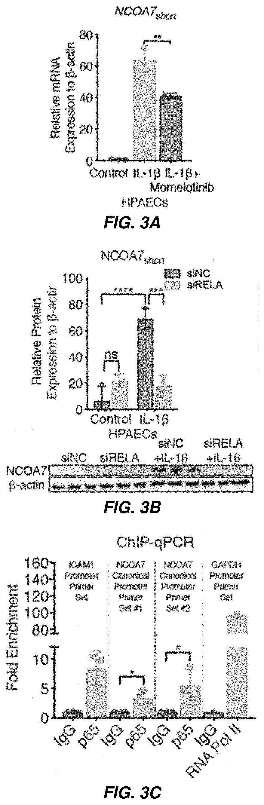 Patent US11773391 Figure 3 – Therapeutic and diagnostic target for SARS-CoV-2 and COVID-19
