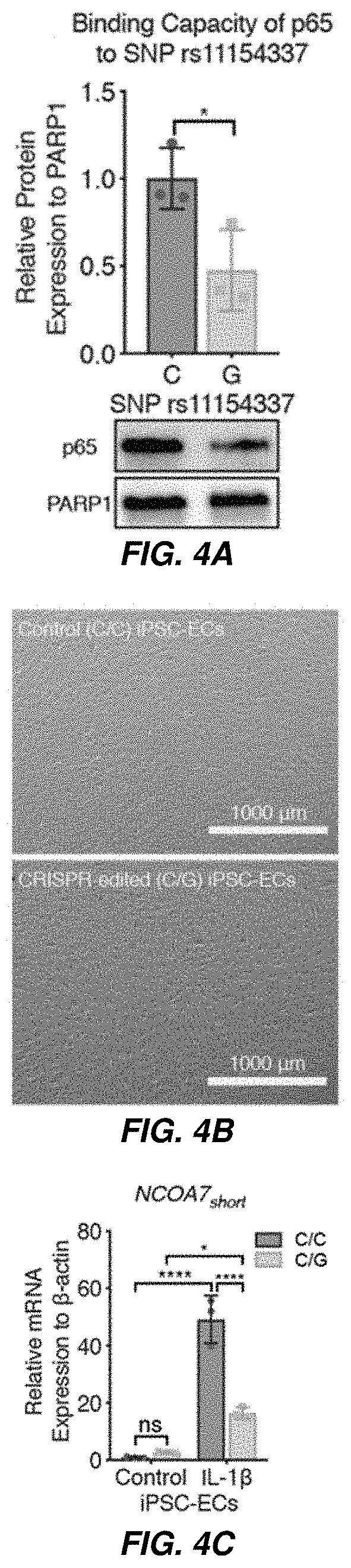 Patent US11773391 Figure 4 – Therapeutic and diagnostic target for SARS-CoV-2 and COVID-19