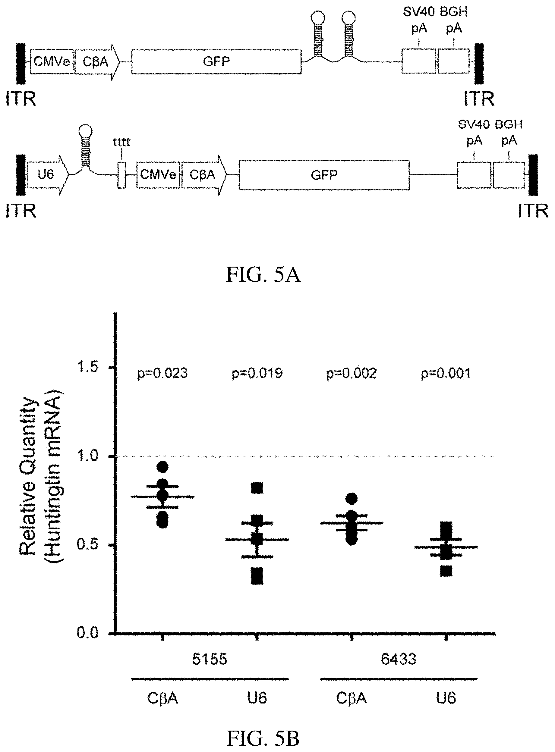 Patent US11773392 Figure 6 – AAV treatment of Huntington's disease