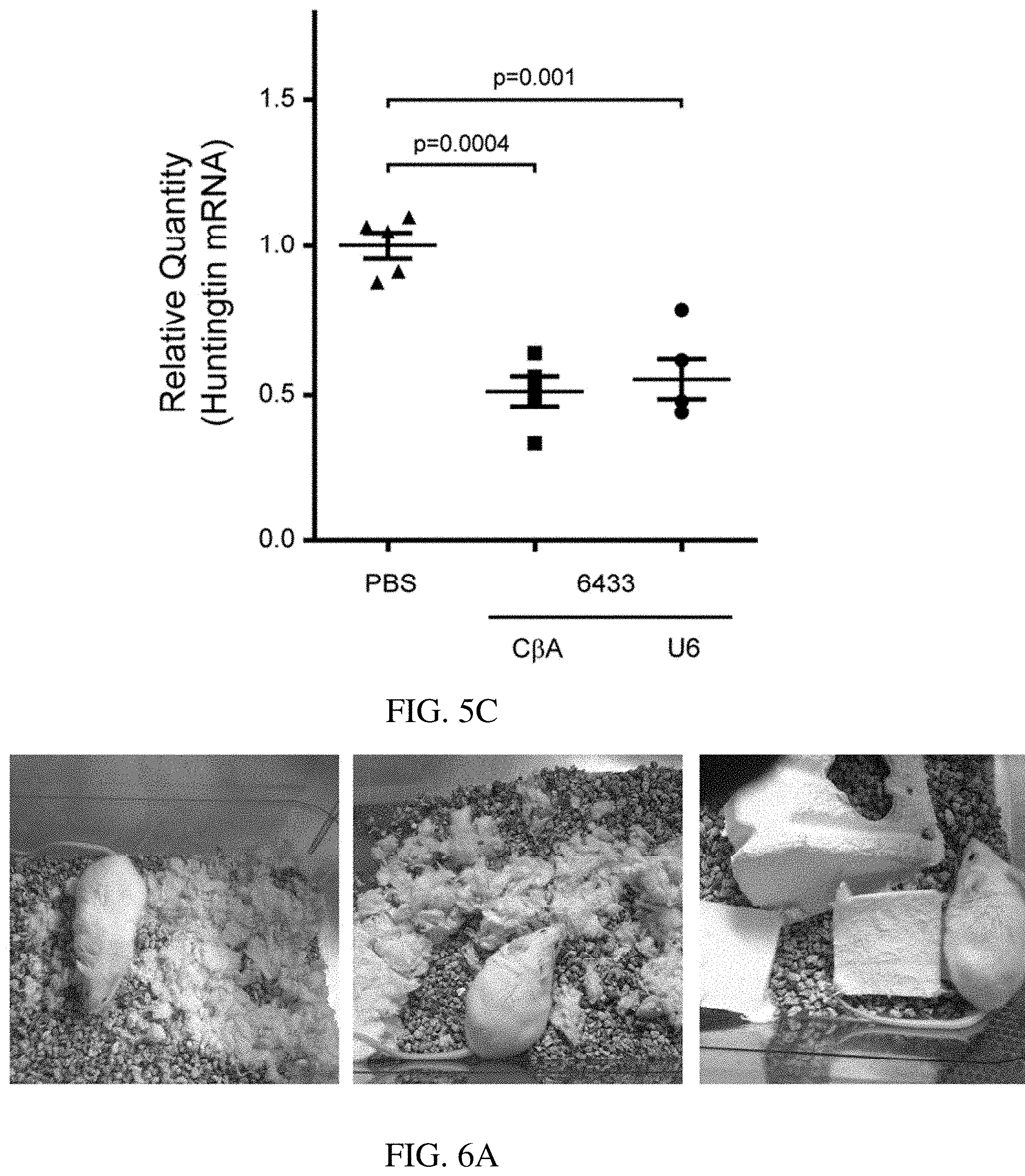 Patent US11773392 Figure 7 – AAV treatment of Huntington's disease