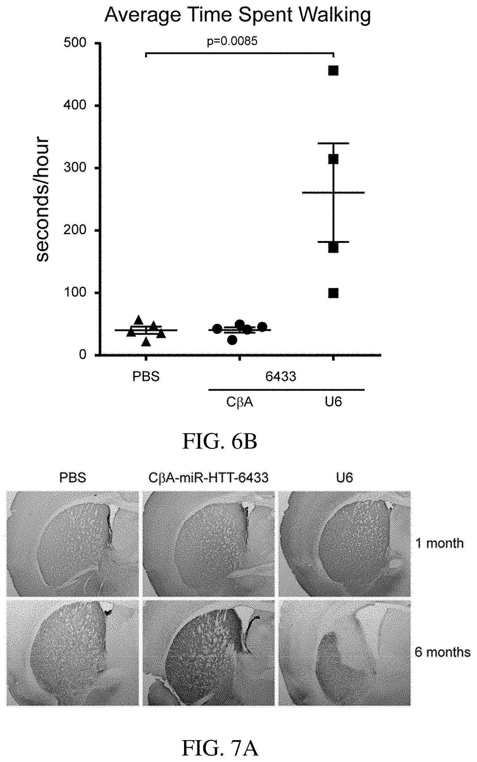 Patent US11773392 Figure 8 – AAV treatment of Huntington's disease