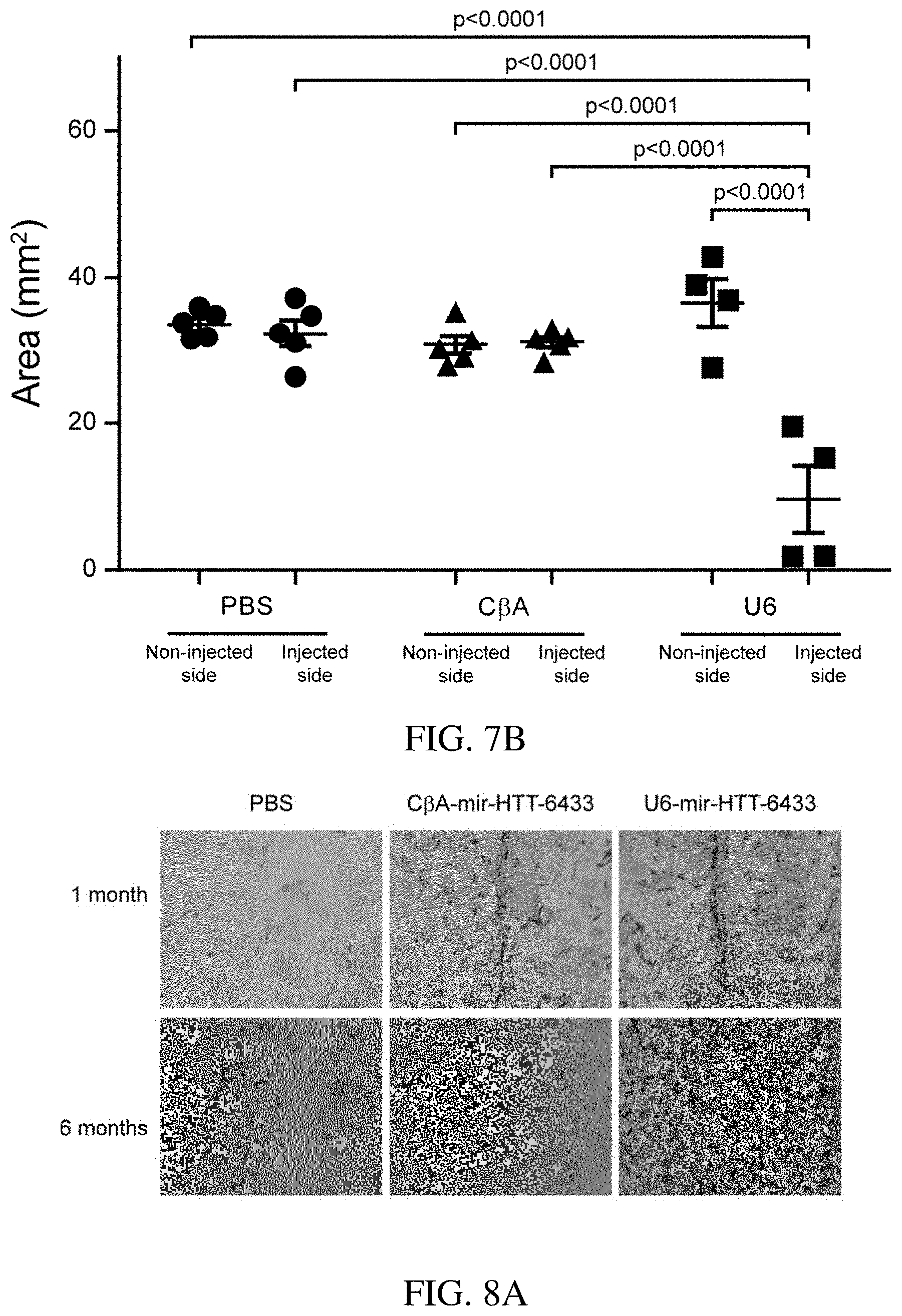 Patent US11773392 Figure 9 – AAV treatment of Huntington's disease