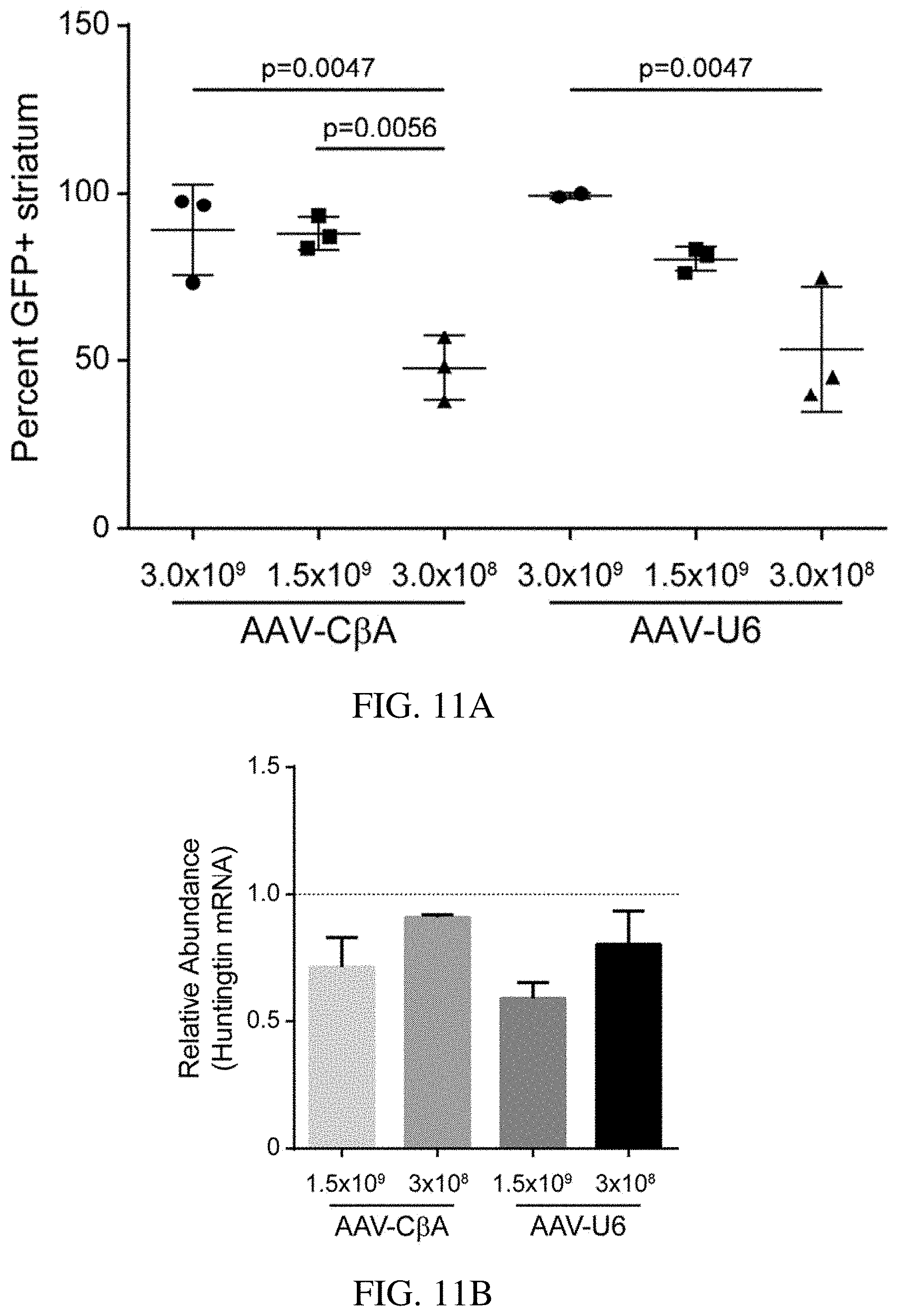 Patent US11773392 Figure 18 – AAV treatment of Huntington's disease