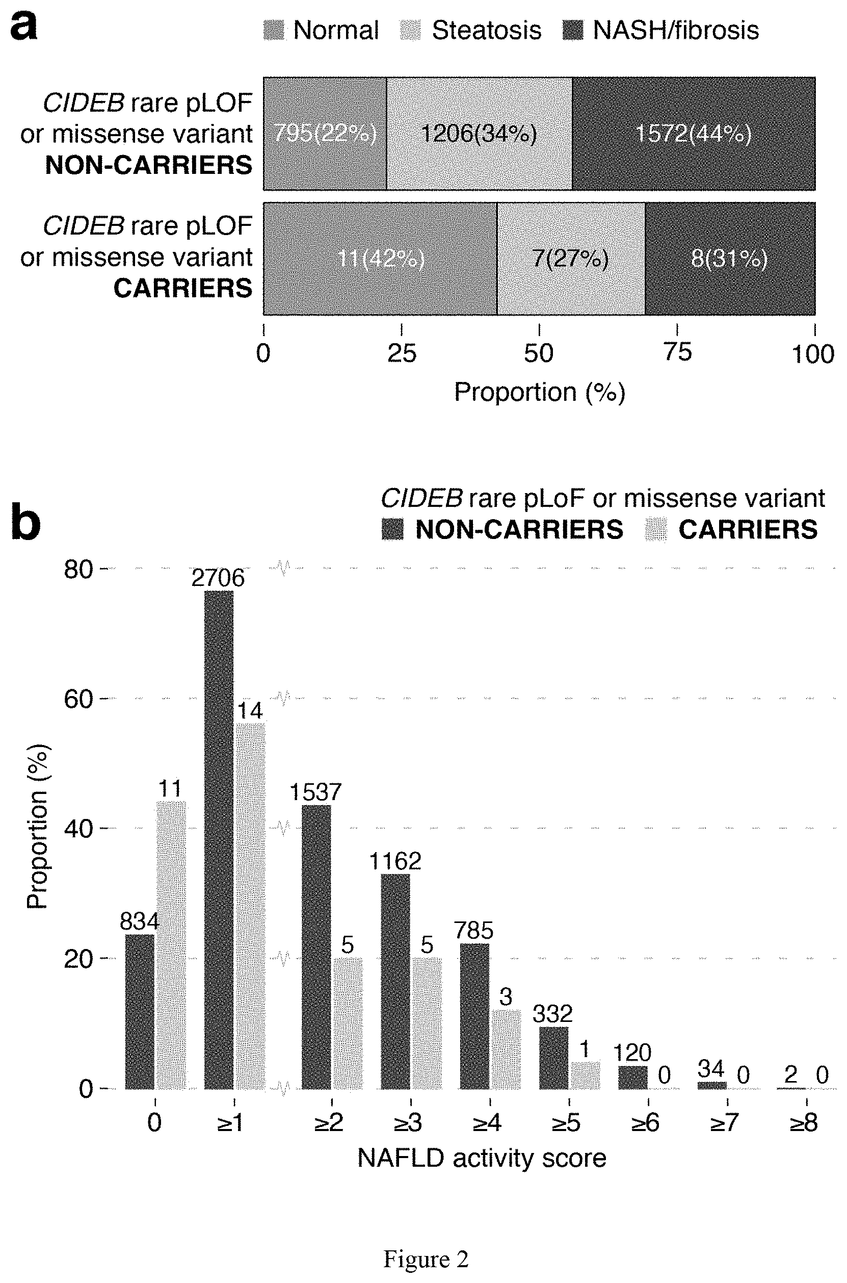 Patent US11773393 Figure 2 – Treatment of liver diseases with cell death inducing DFFA like effector B (CIDEB) inhibitors