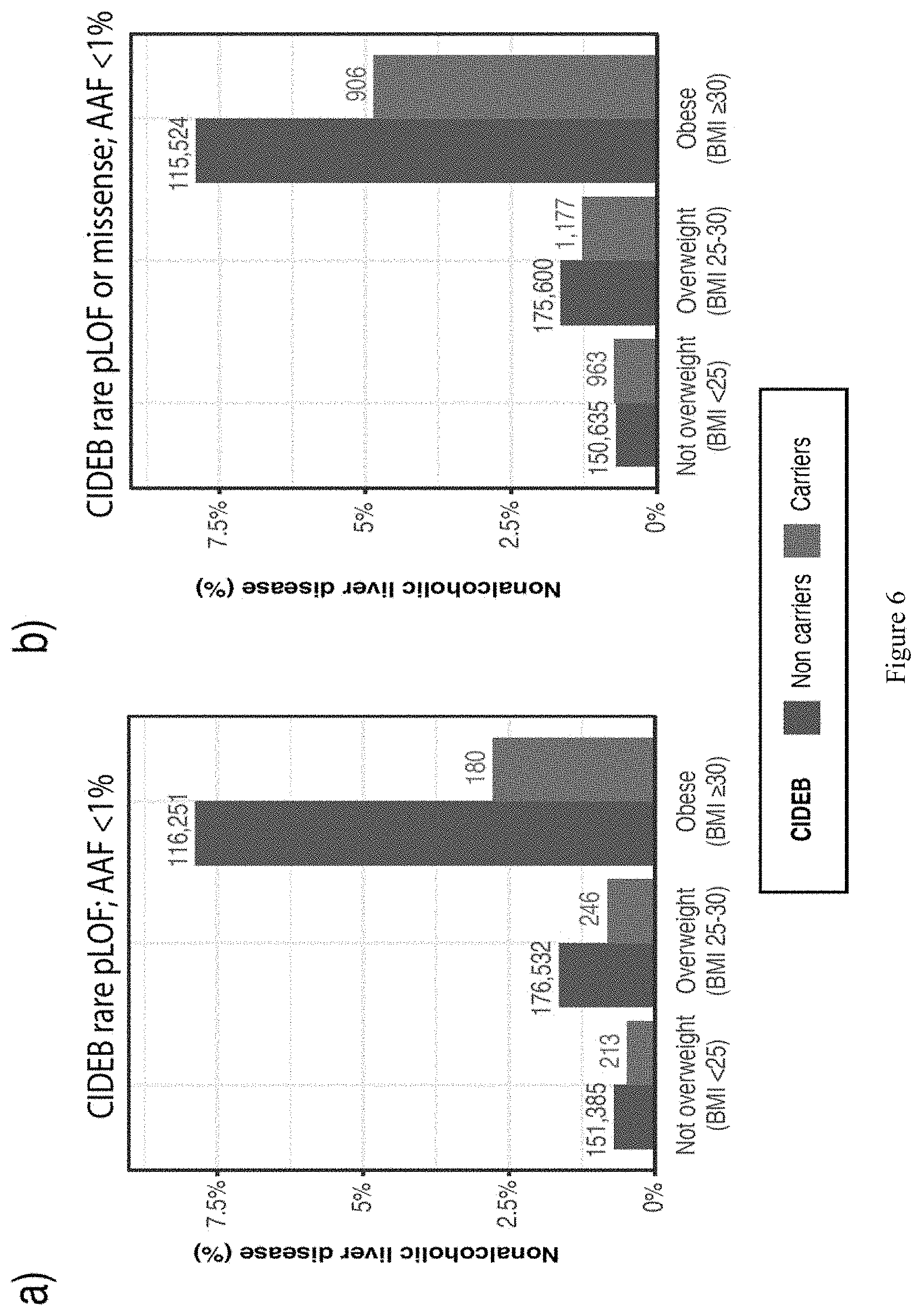 Patent US11773393 Figure 6 – Treatment of liver diseases with cell death inducing DFFA like effector B (CIDEB) inhibitors