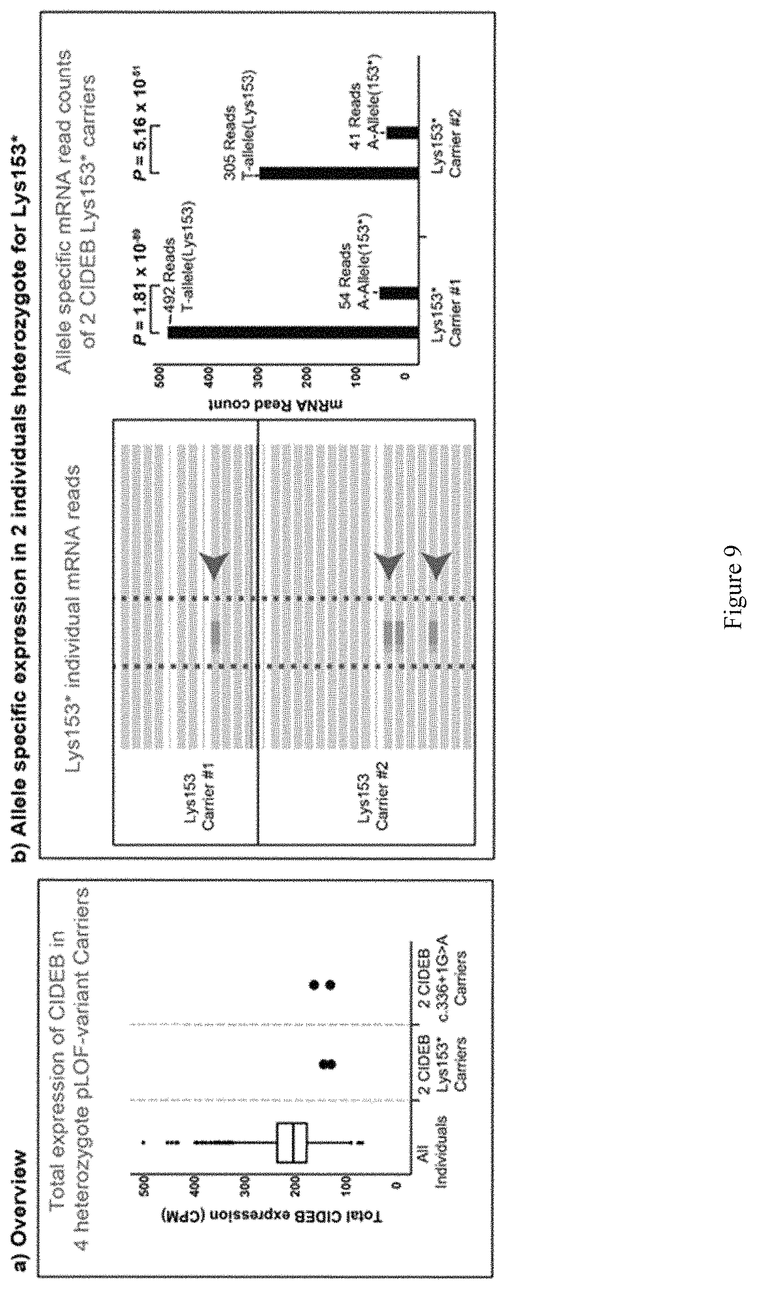 Patent US11773393 Figure 10 – Treatment of liver diseases with cell death inducing DFFA like effector B (CIDEB) inhibitors