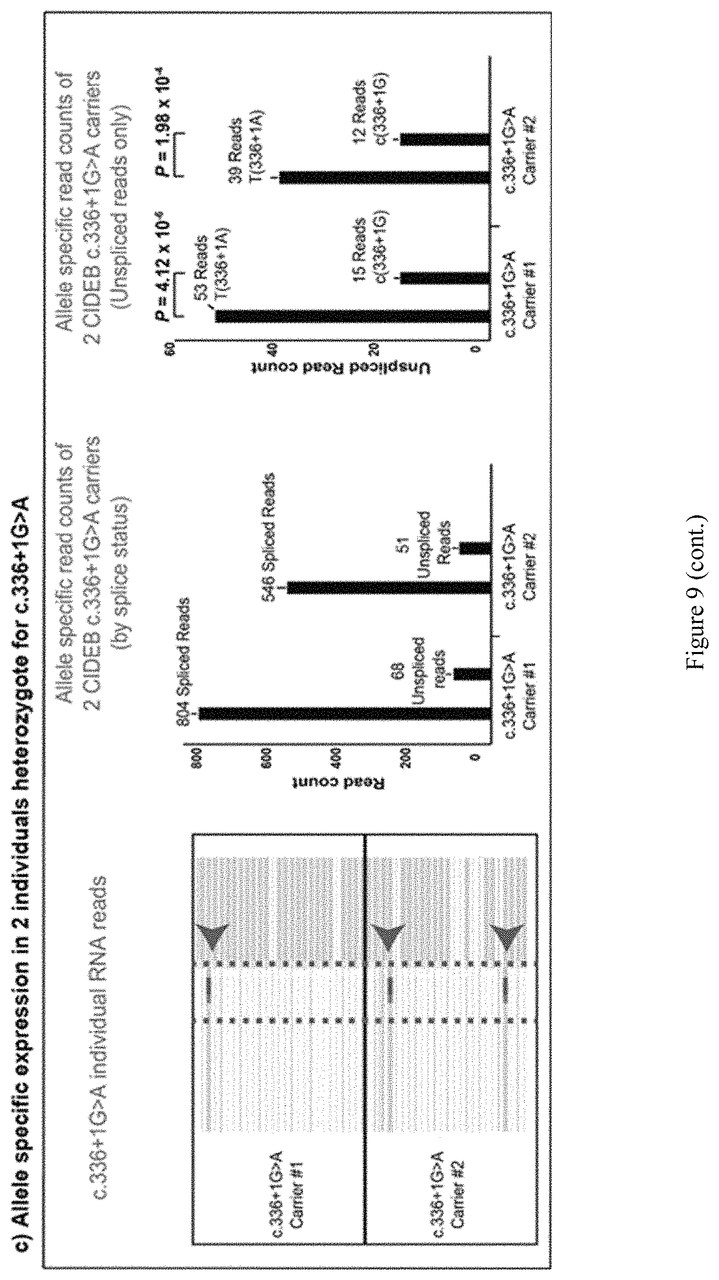 Patent US11773393 Figure 11 – Treatment of liver diseases with cell death inducing DFFA like effector B (CIDEB) inhibitors
