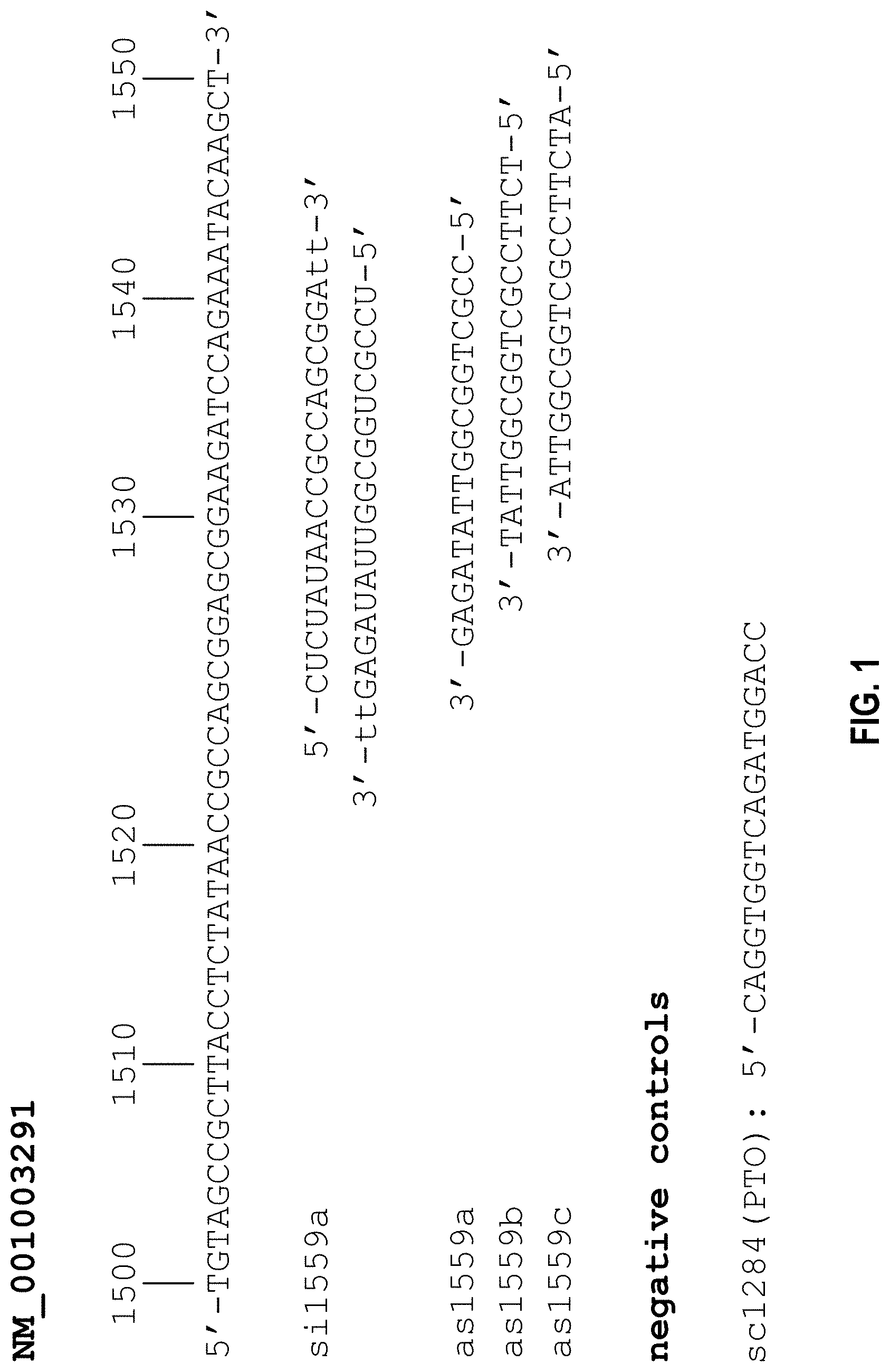 Patent US11773394 Figure 1 – Antisense drugs against canine ICAM-1 for use in the treatment of inflammation of the buccal cavity