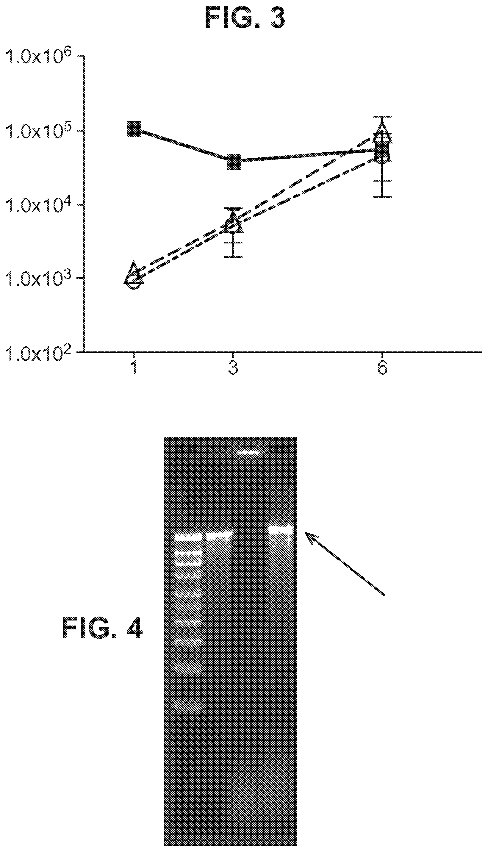 Patent US11773395 Figure 2 – Immunization of large mammals with low doses of RNA