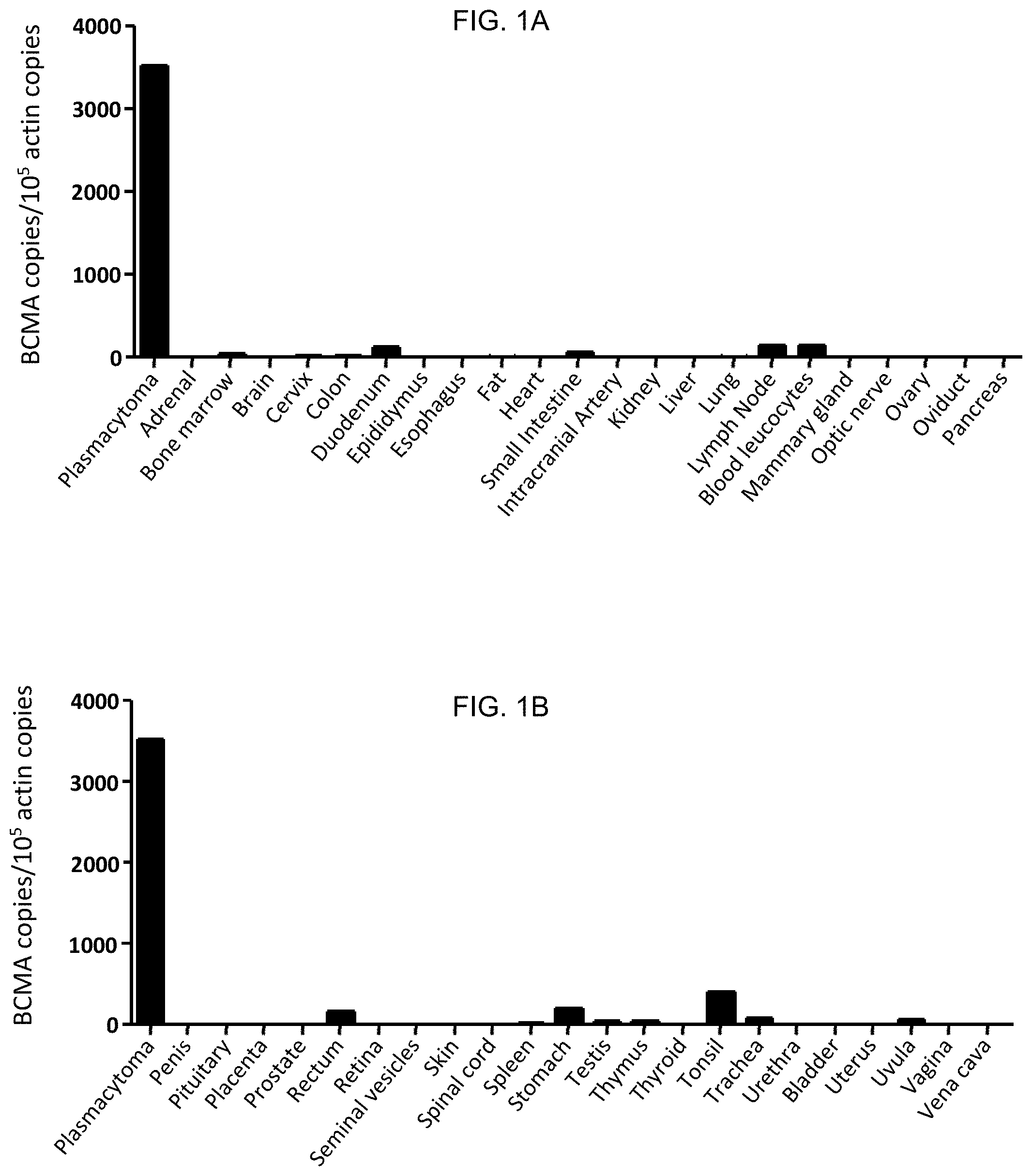 Patent US11773396 Figure 1 – Chimeric antigen receptors targeting B-cell maturation antigen
