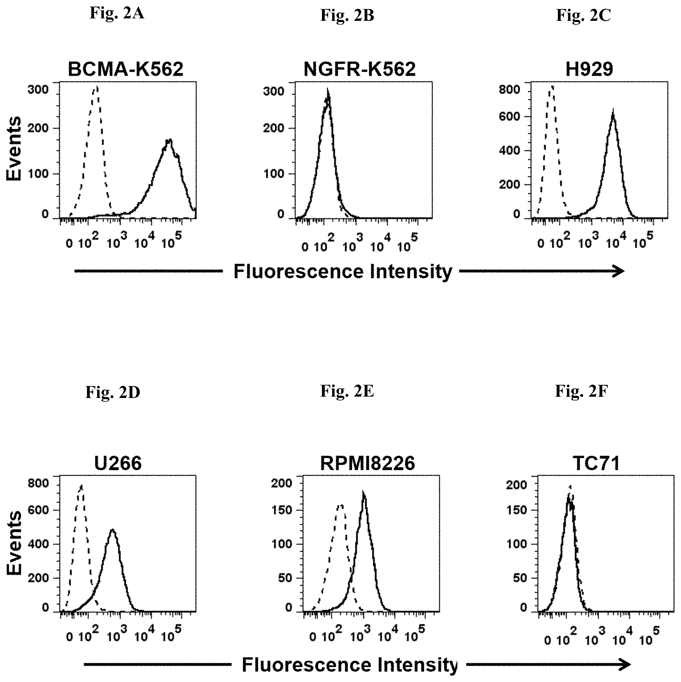 Patent US11773396 Figure 2 – Chimeric antigen receptors targeting B-cell maturation antigen