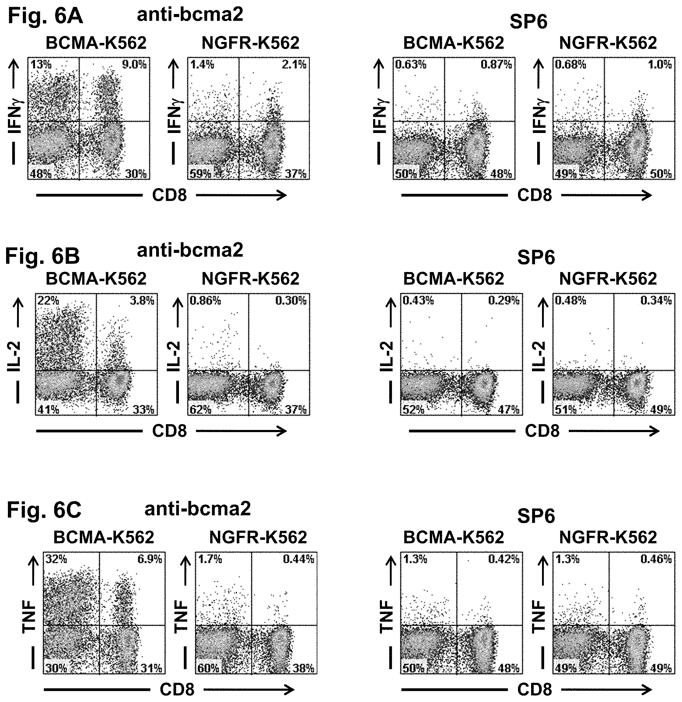 Patent US11773396 Figure 8 – Chimeric antigen receptors targeting B-cell maturation antigen