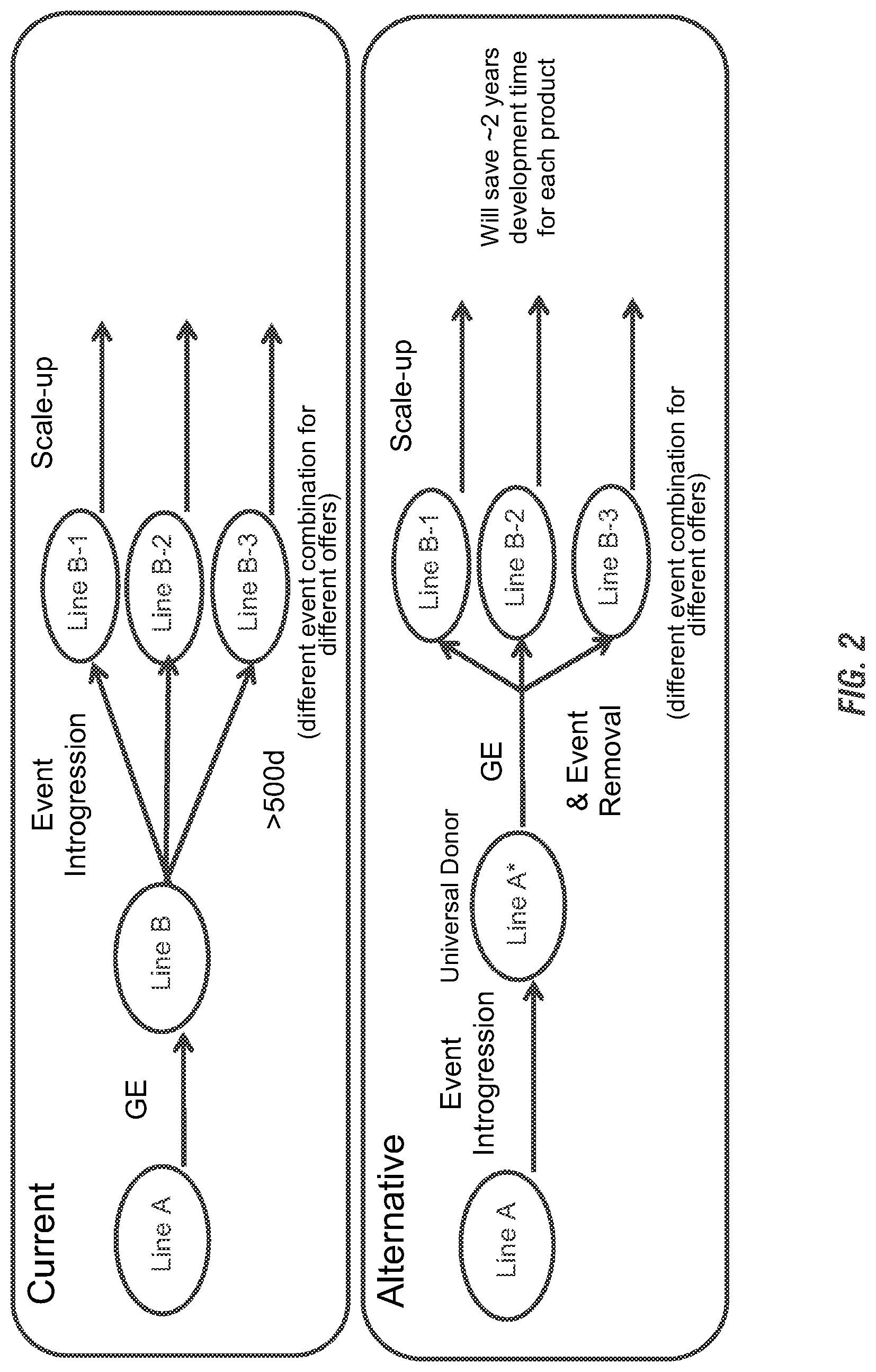 Patent US11773397 Figure 2 – Modified excisable DAS59122-7 maize transgenic locus