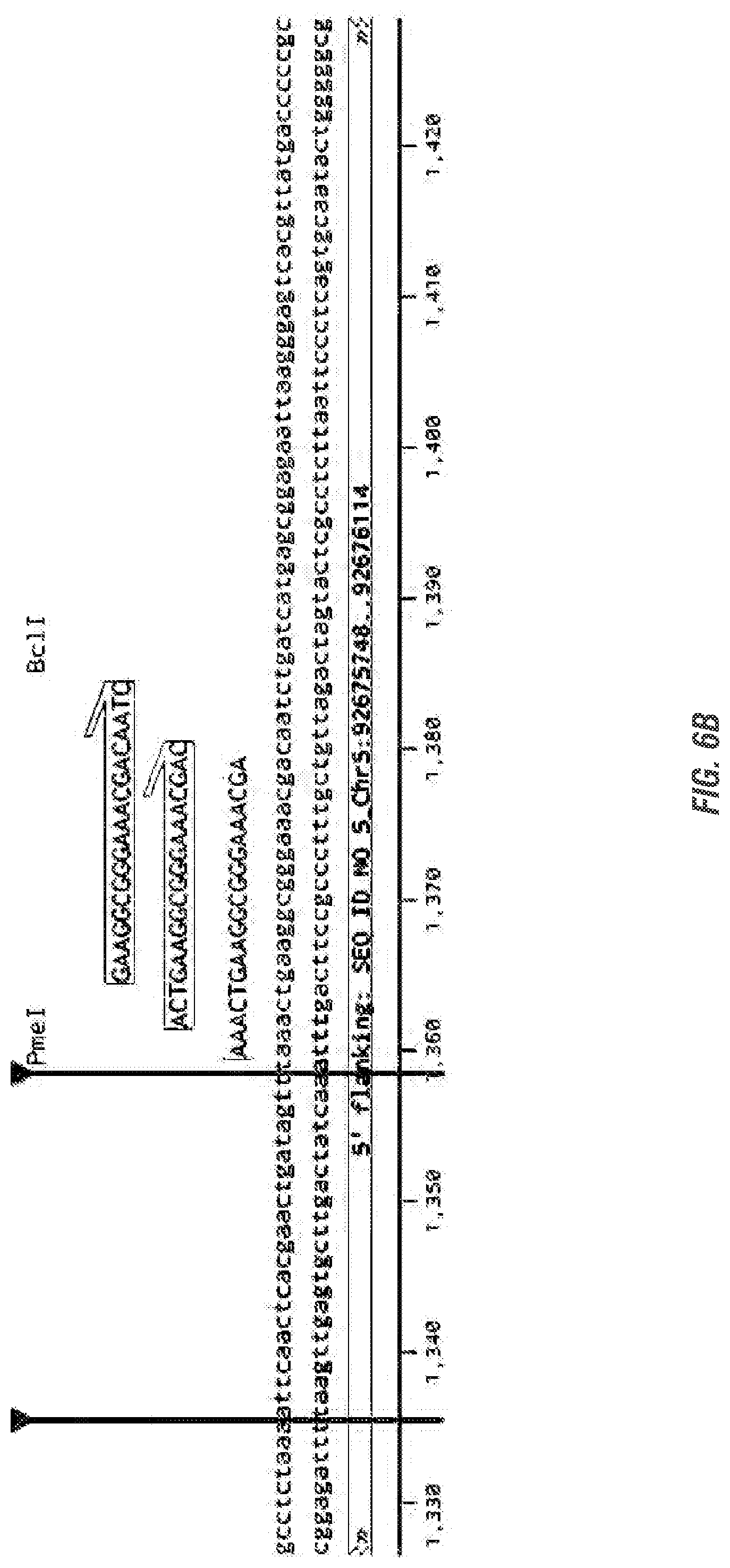 Patent US11773398 Figure 9 – Modified excisable 5307 maize transgenic locus lacking a selectable marker