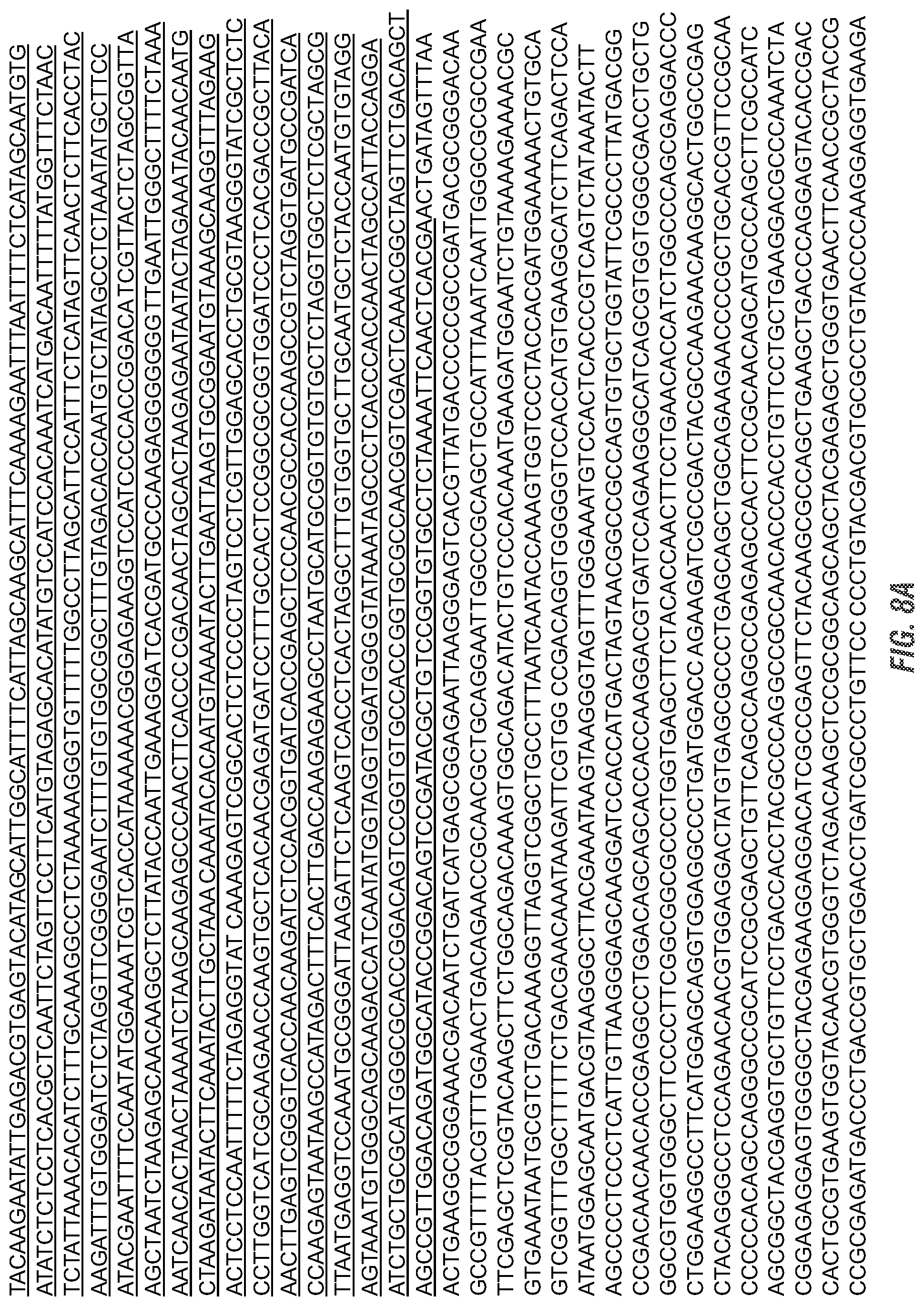 Patent US11773398 Figure 12 – Modified excisable 5307 maize transgenic locus lacking a selectable marker