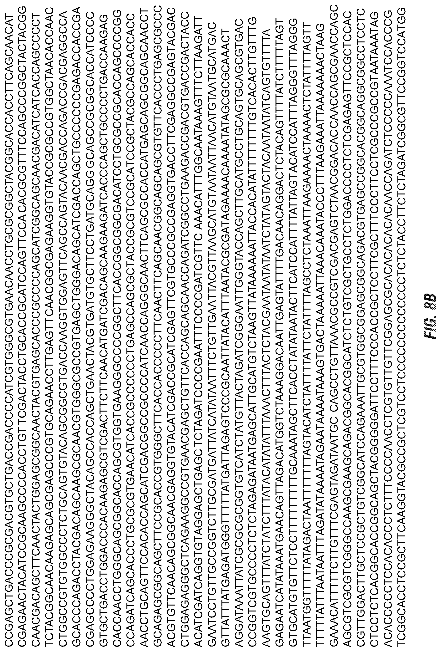 Patent US11773398 Figure 13 – Modified excisable 5307 maize transgenic locus lacking a selectable marker