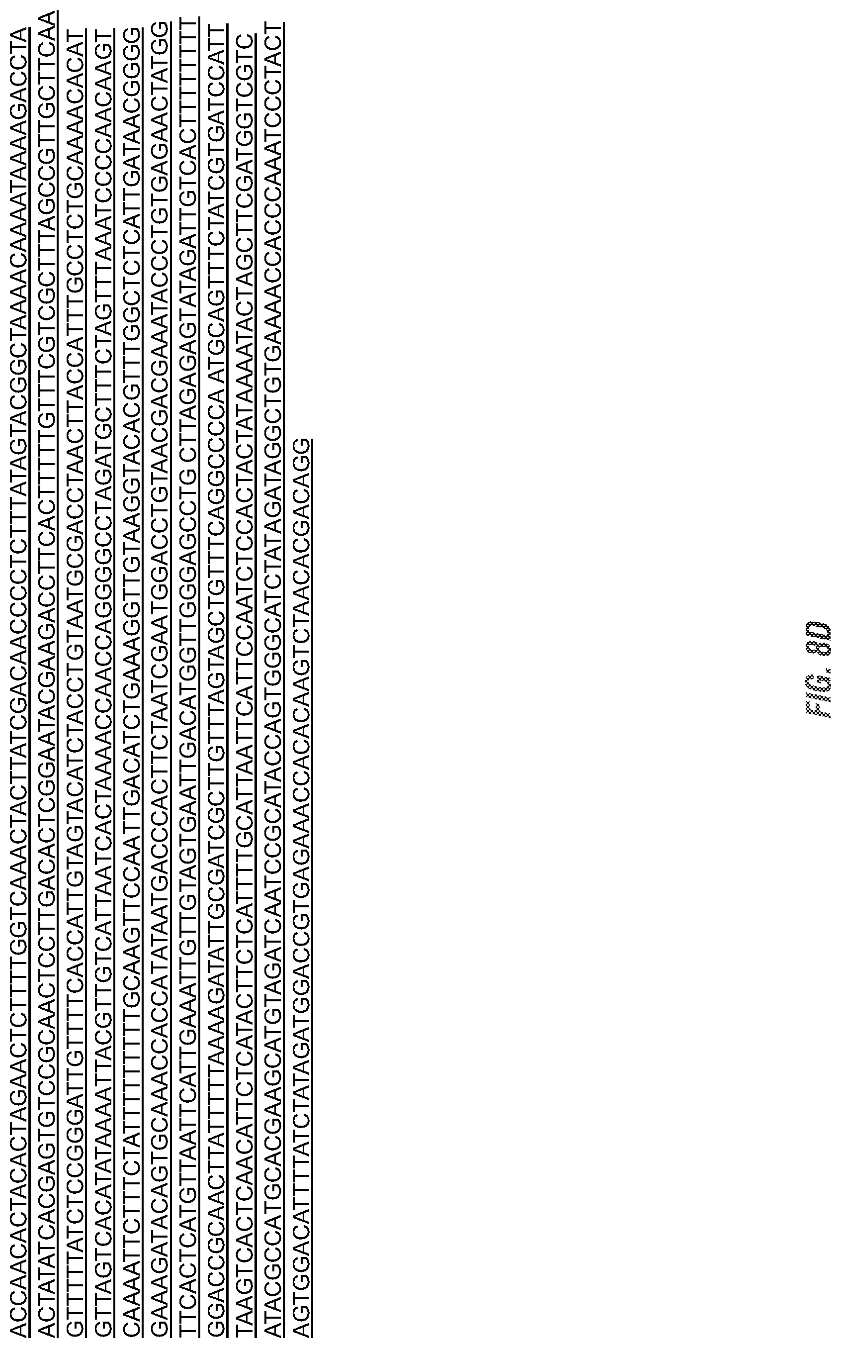 Patent US11773398 Figure 15 – Modified excisable 5307 maize transgenic locus lacking a selectable marker