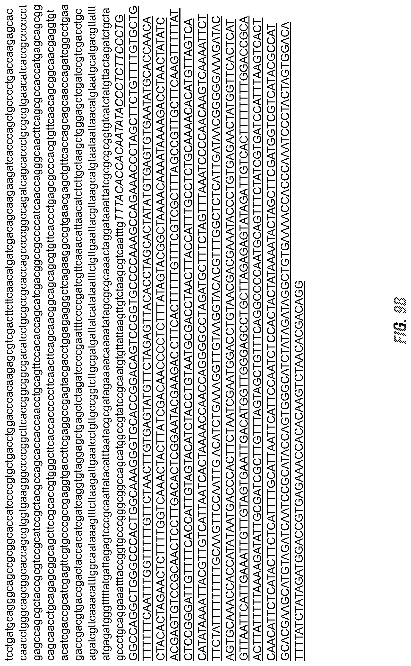 Patent US11773398 Figure 17 – Modified excisable 5307 maize transgenic locus lacking a selectable marker