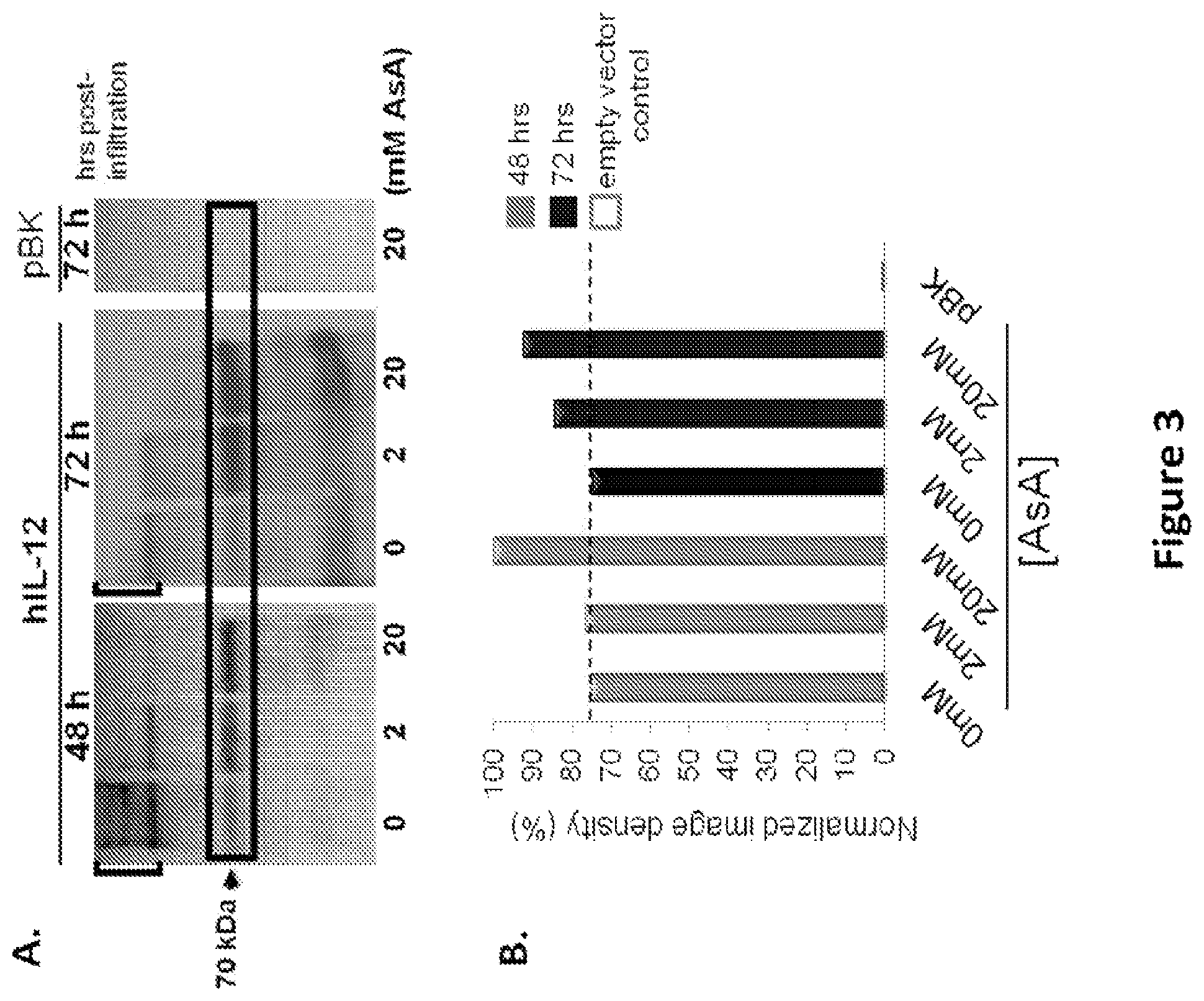 Patent US11773399 Figure 3 – Methods and compositions for enhancing polypeptide production