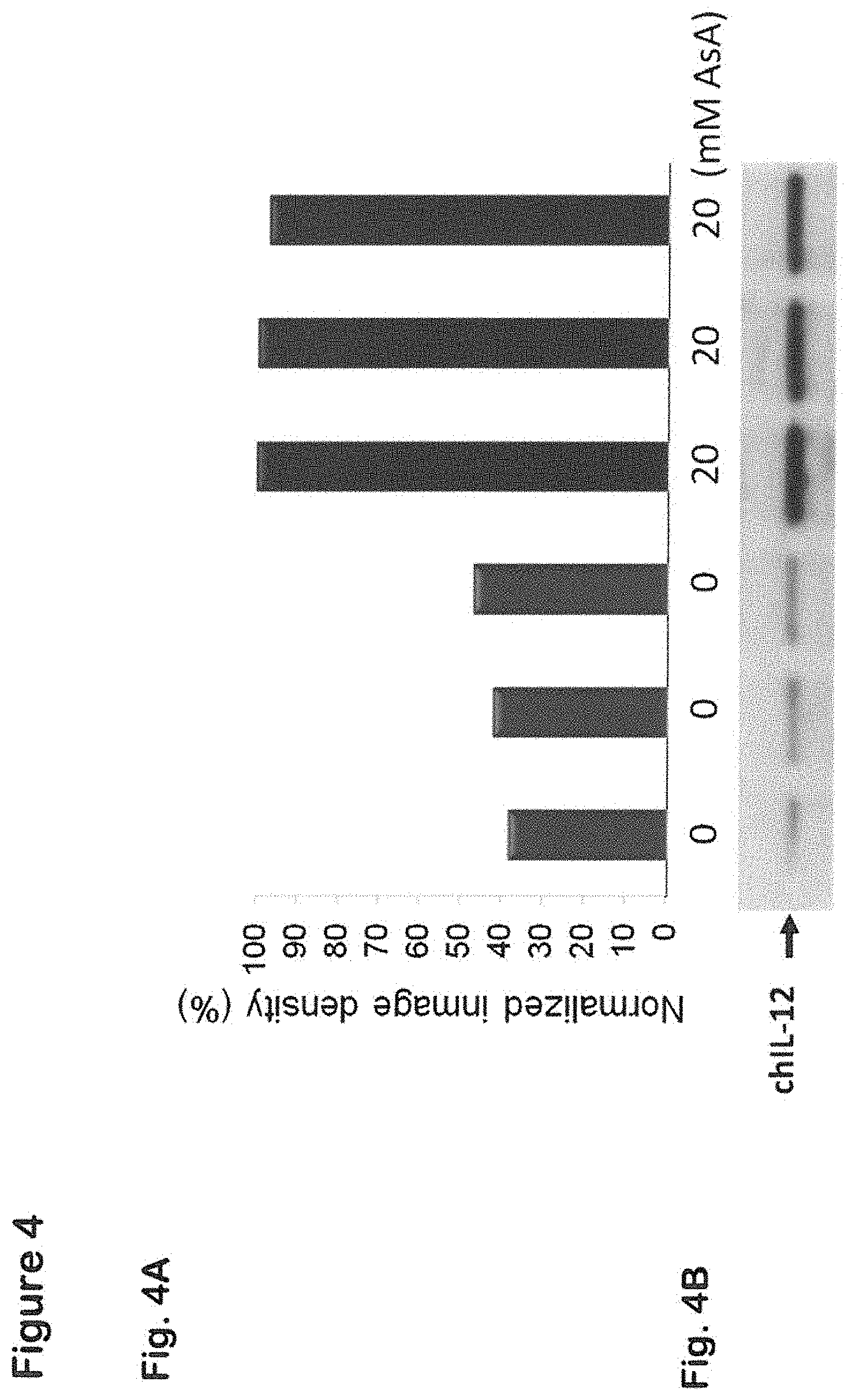Patent US11773399 Figure 4 – Methods and compositions for enhancing polypeptide production