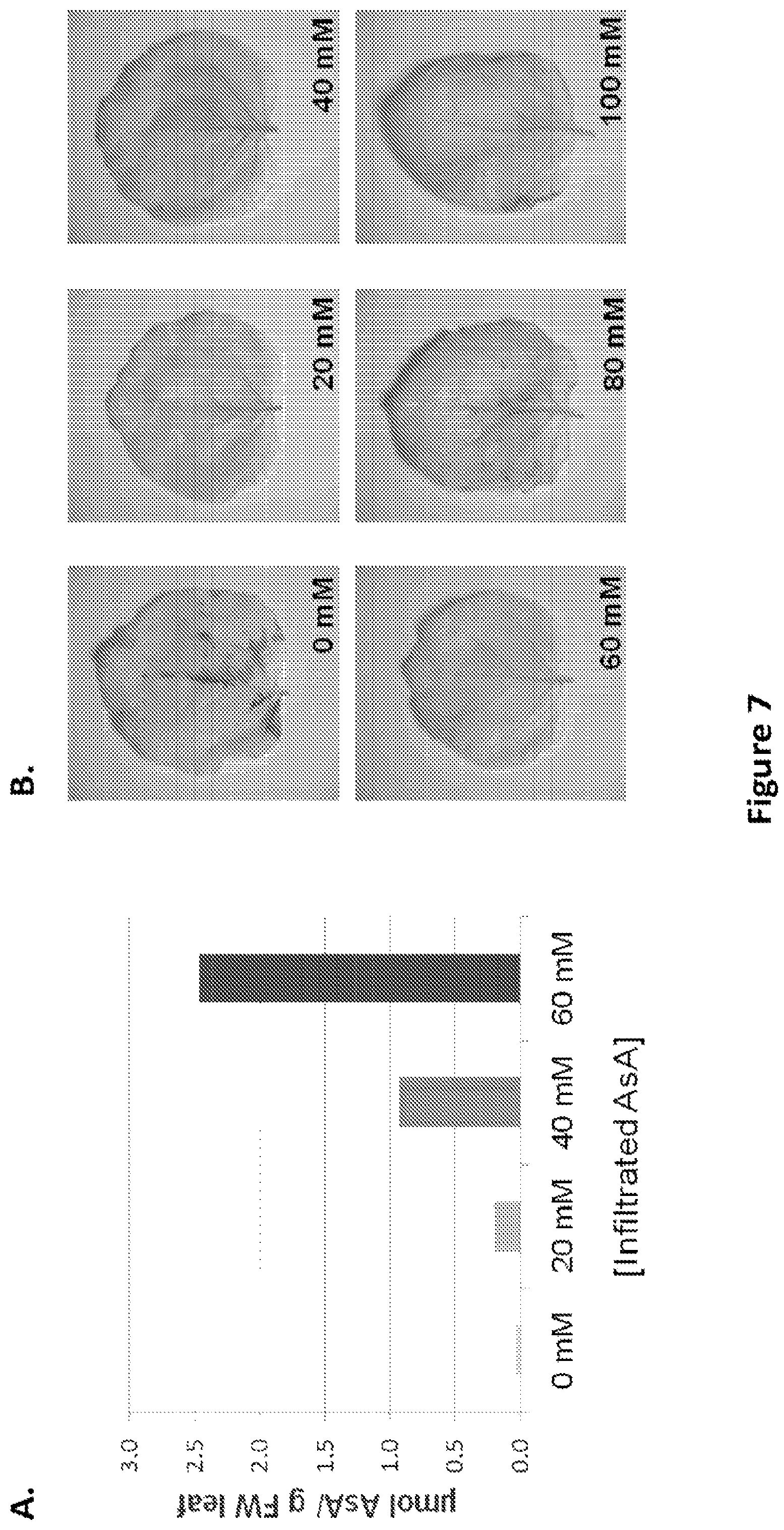 Patent US11773399 Figure 7 – Methods and compositions for enhancing polypeptide production